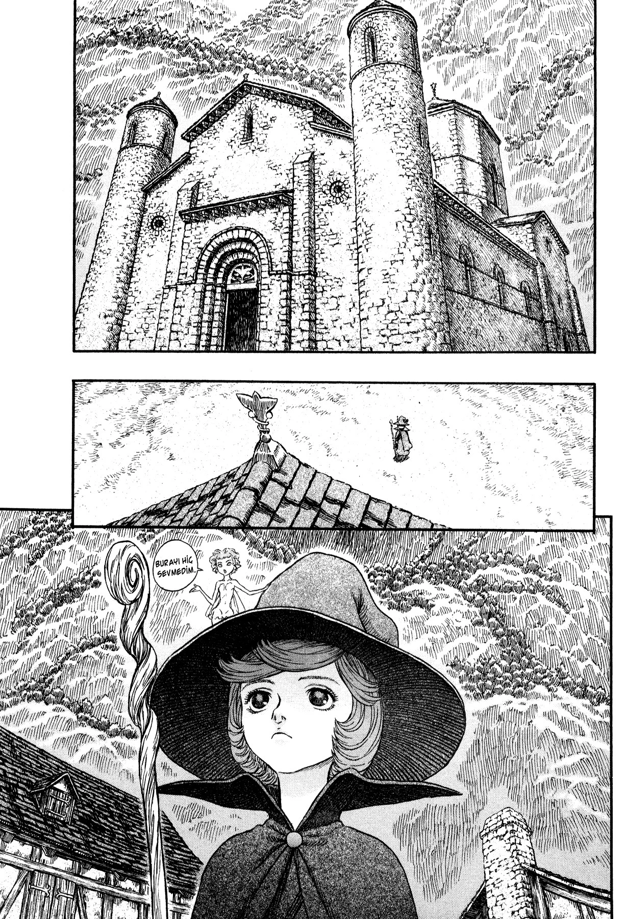 Read Berserk TR Manga Online