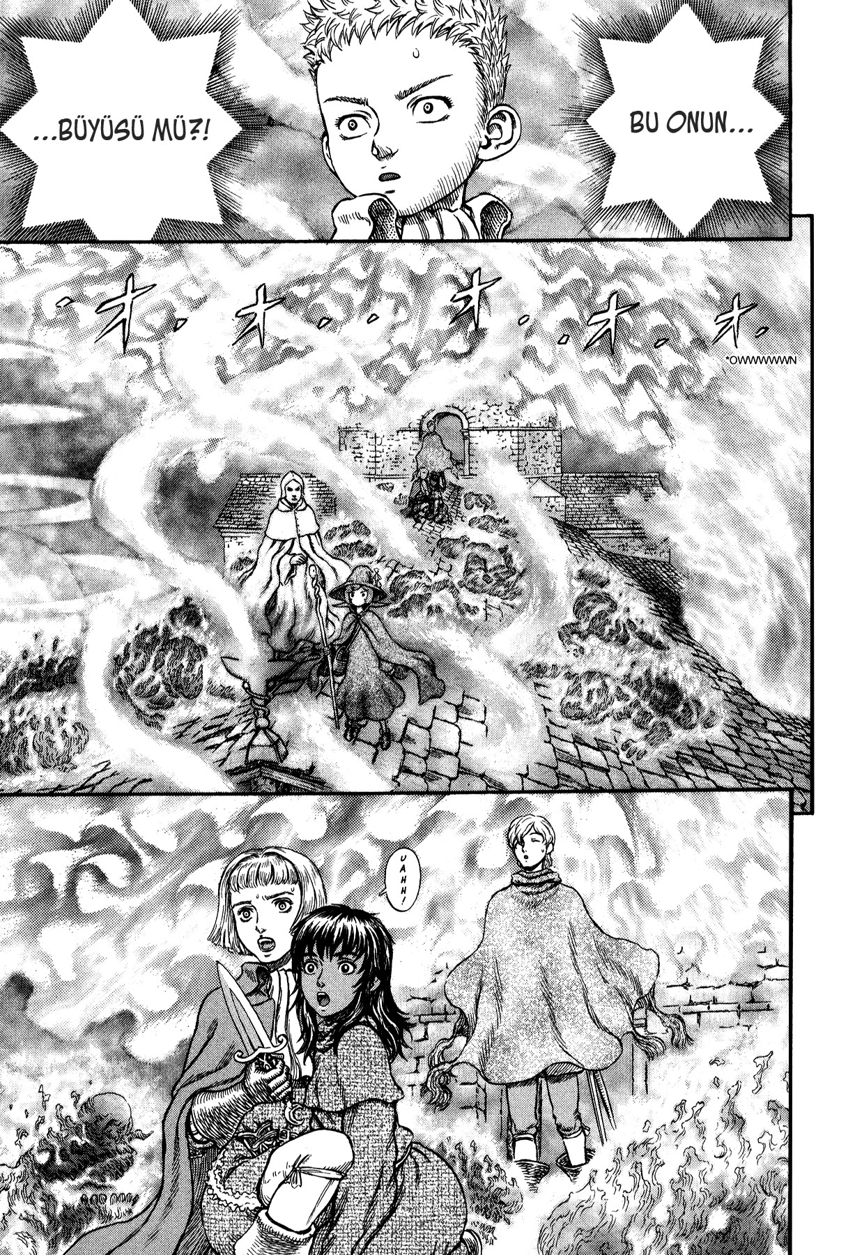 Read Berserk TR Manga Online