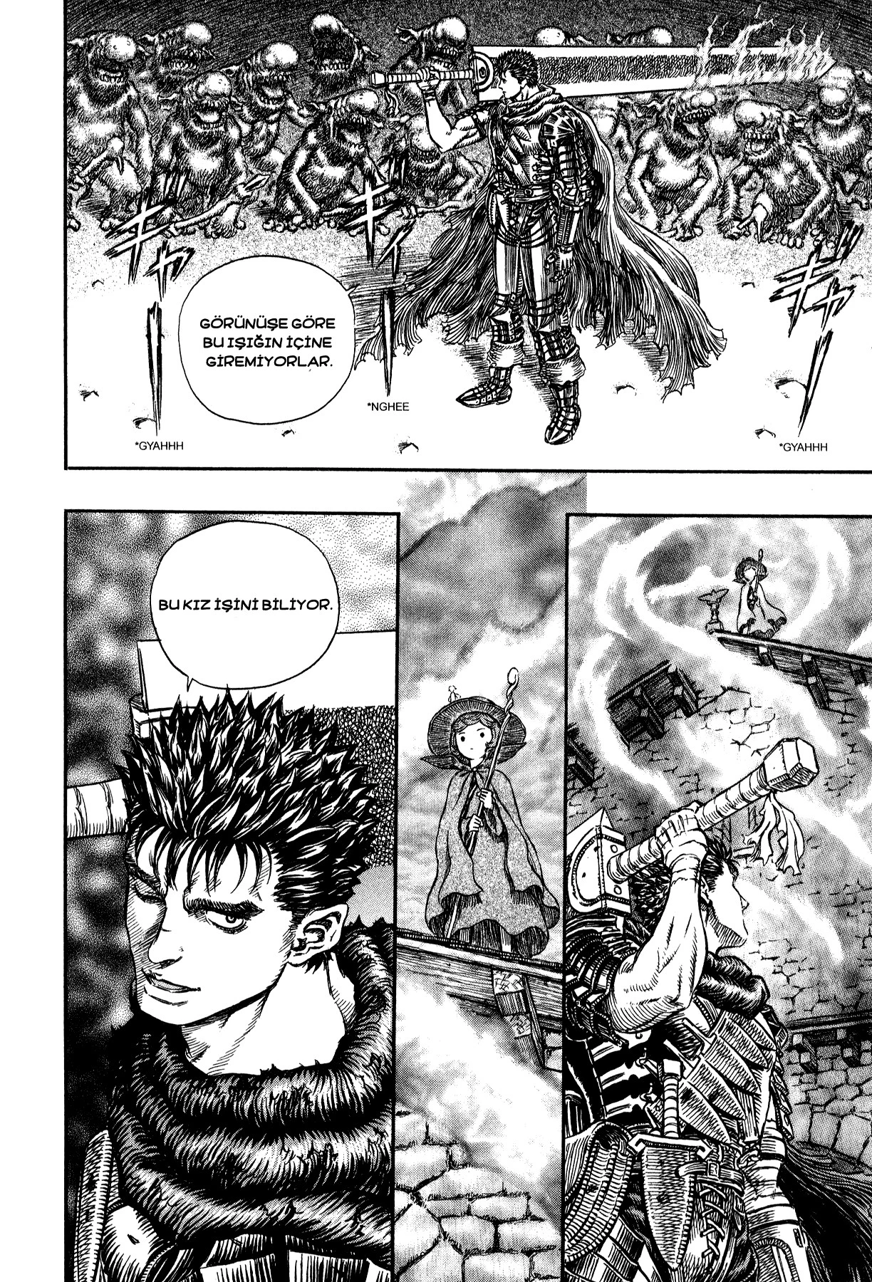 Read Berserk TR Manga Online