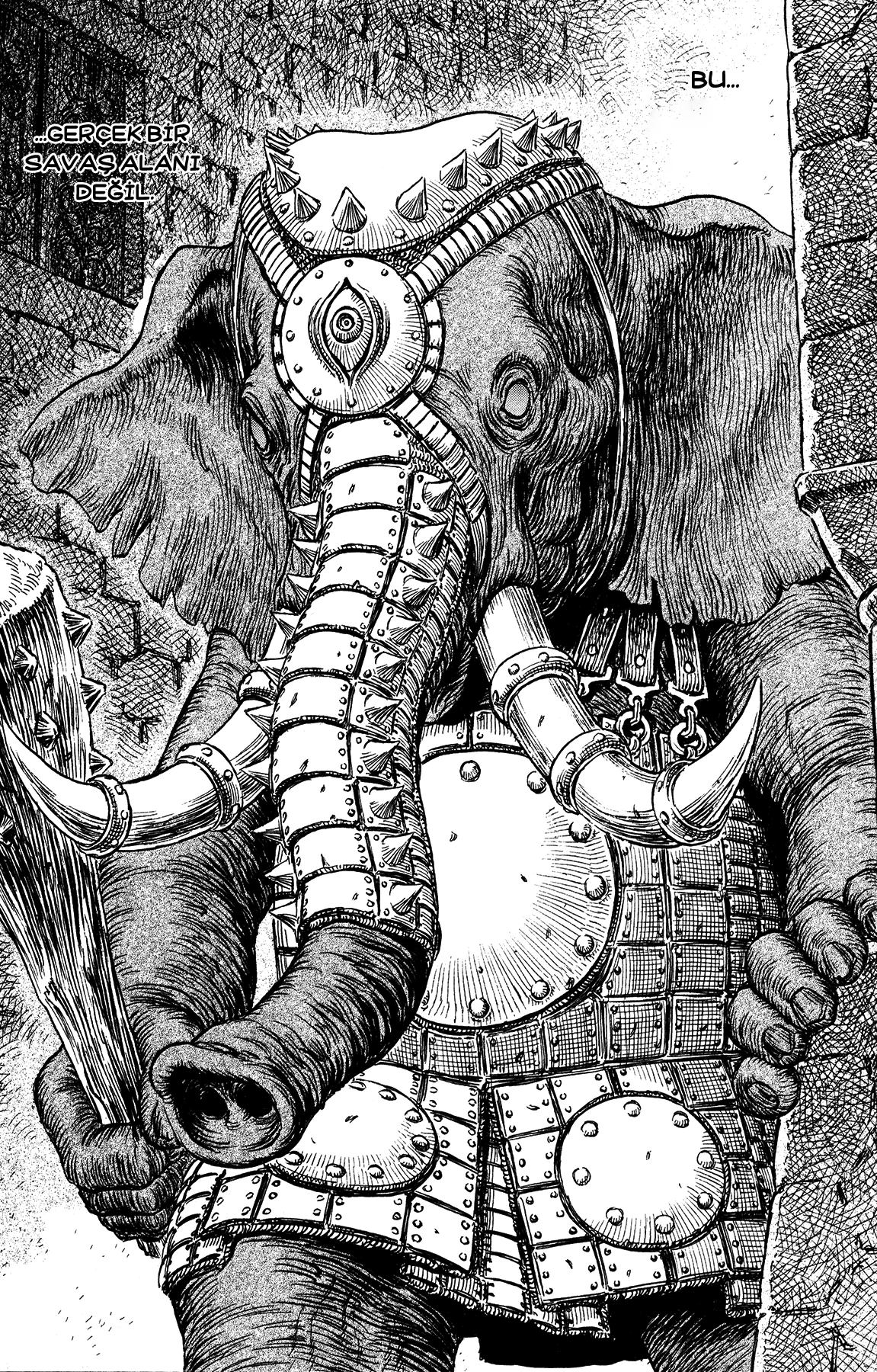 Read Berserk TR Manga Online