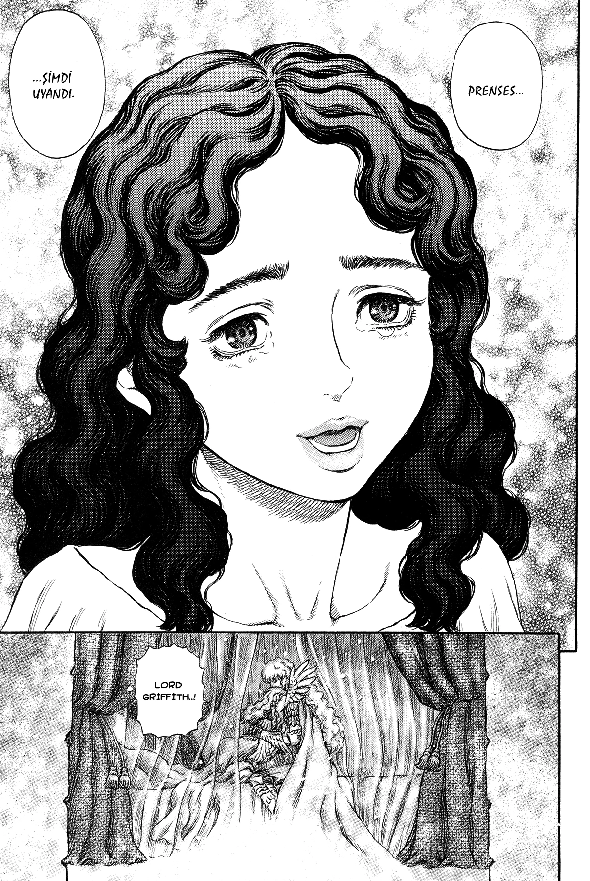 Read Berserk TR Manga Online