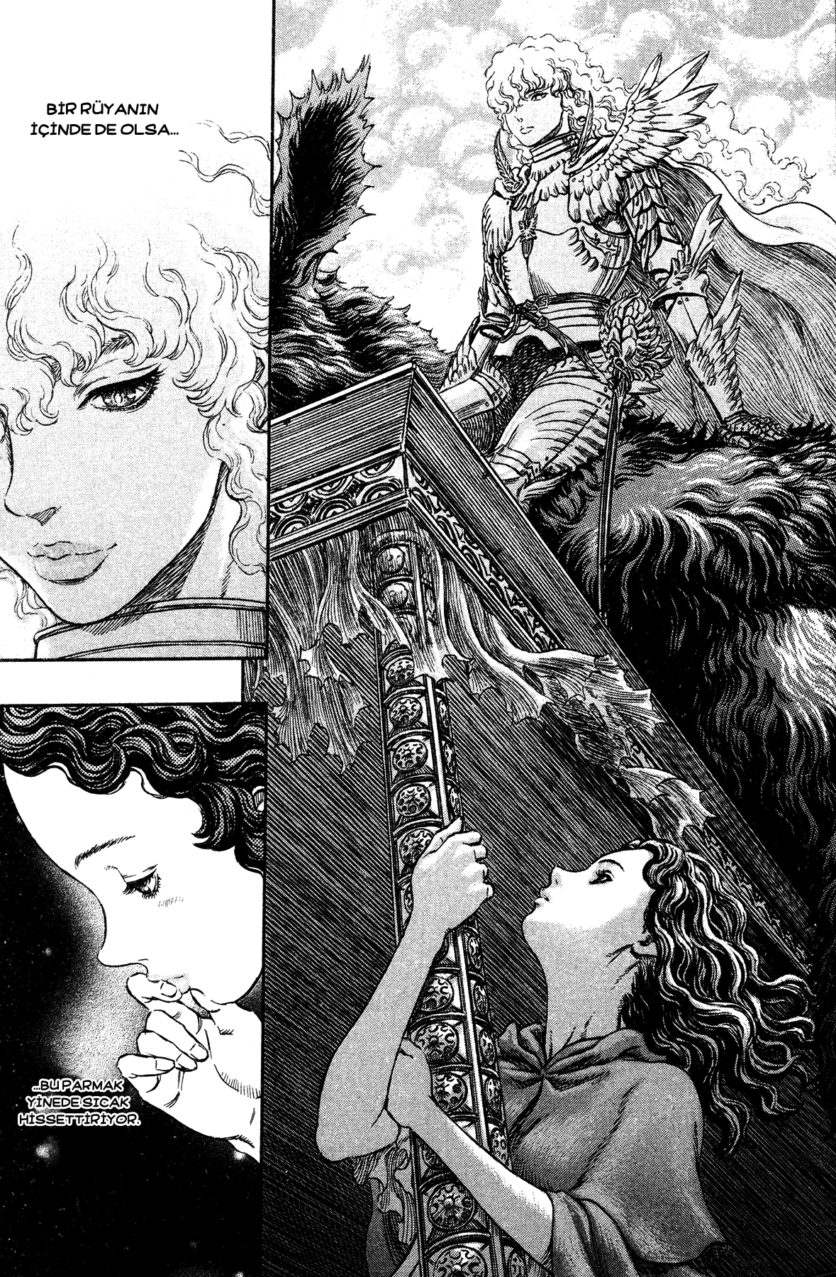 Read Berserk TR Manga Online