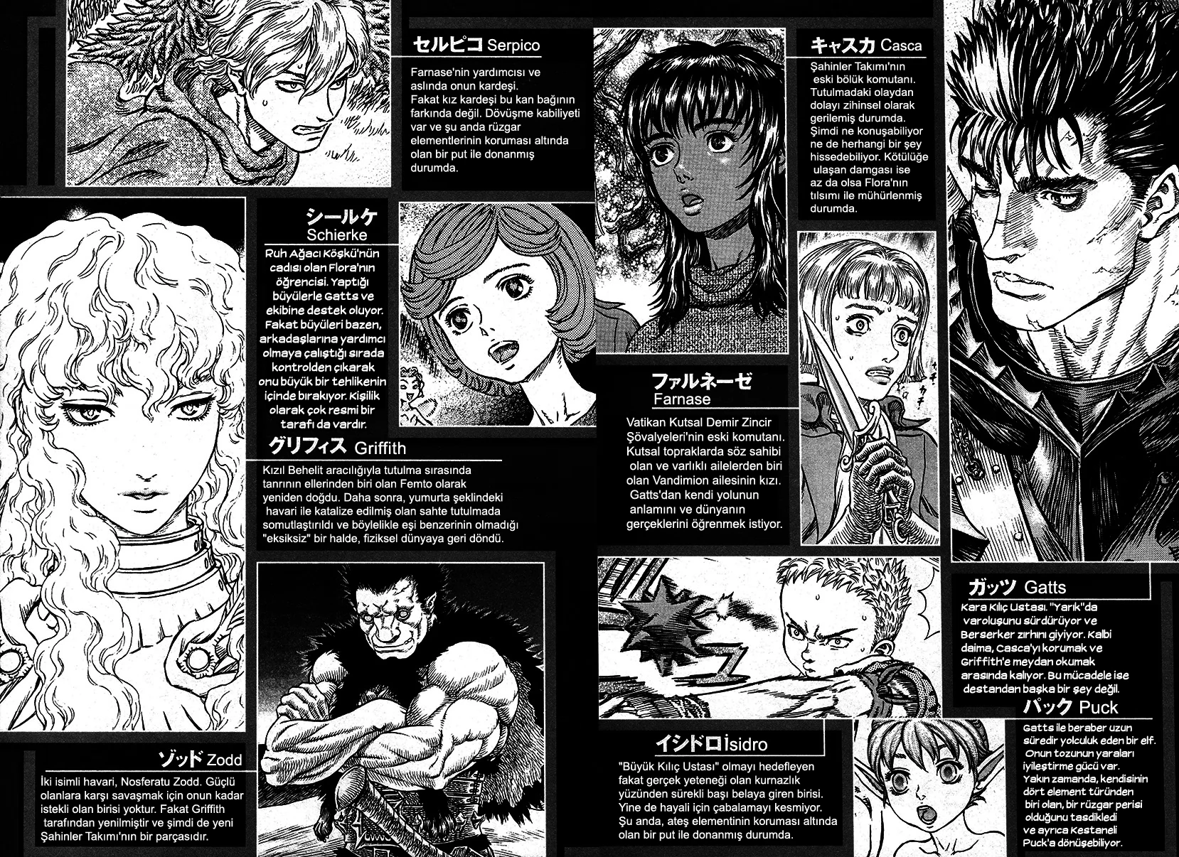 Read Berserk TR Manga Online