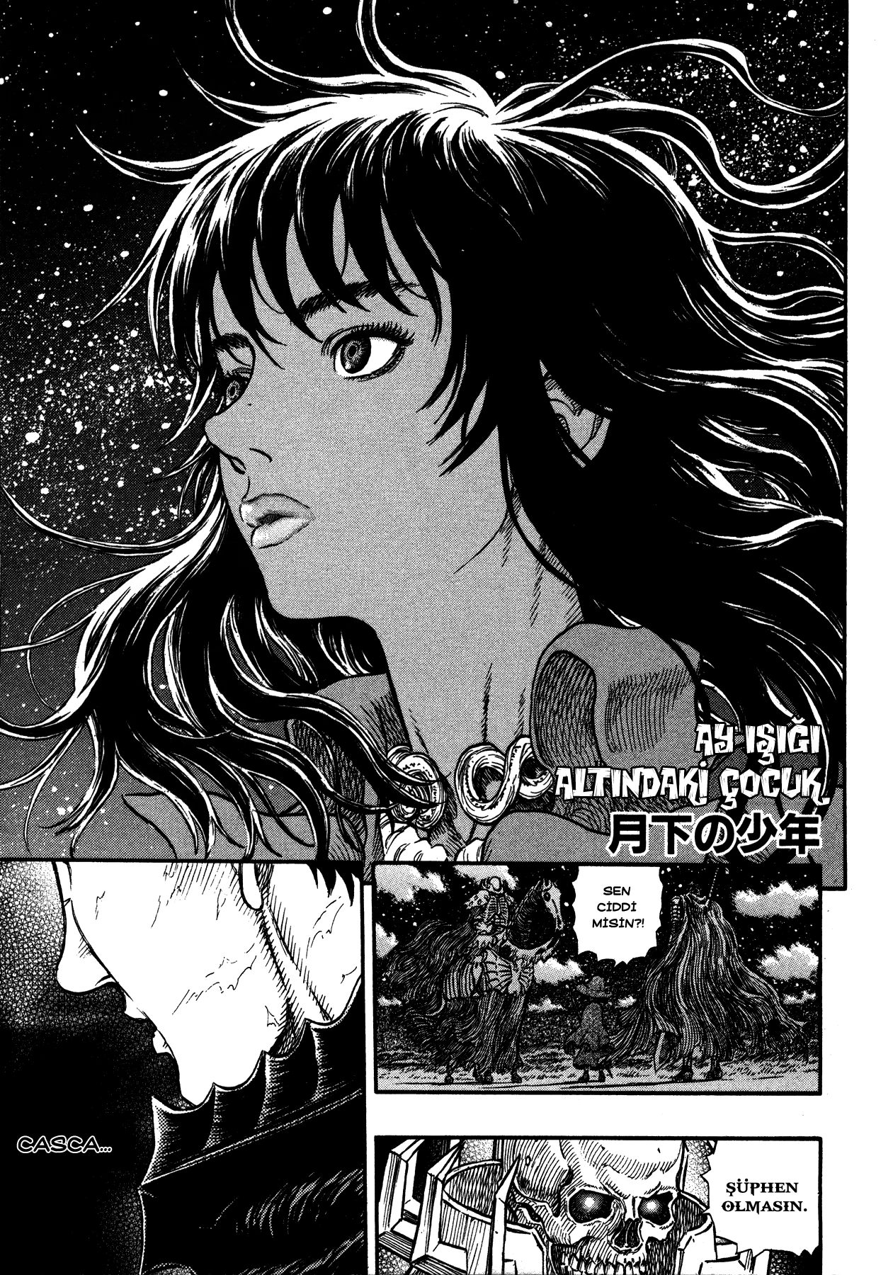 Read Berserk TR Manga Online