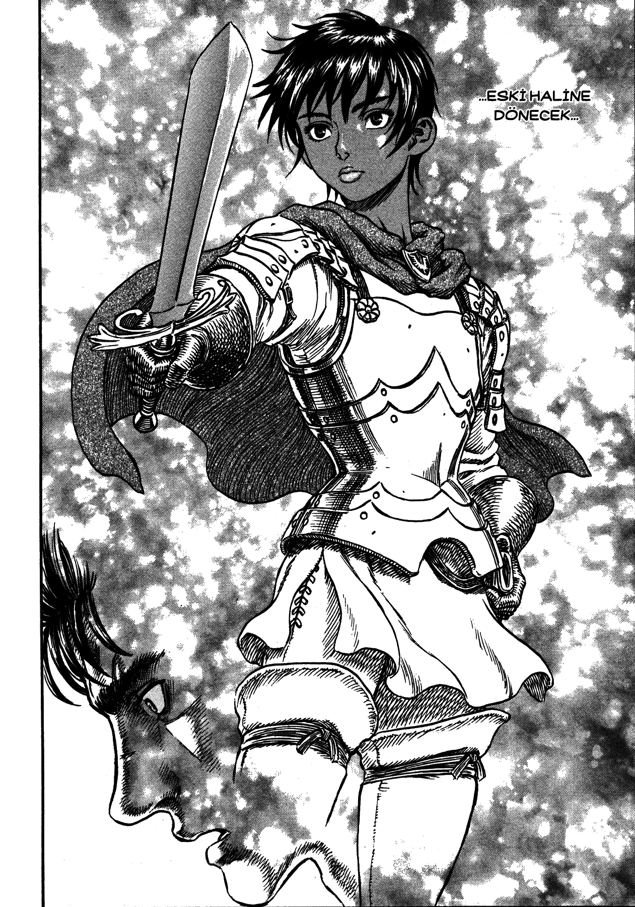 Read Berserk TR Manga Online