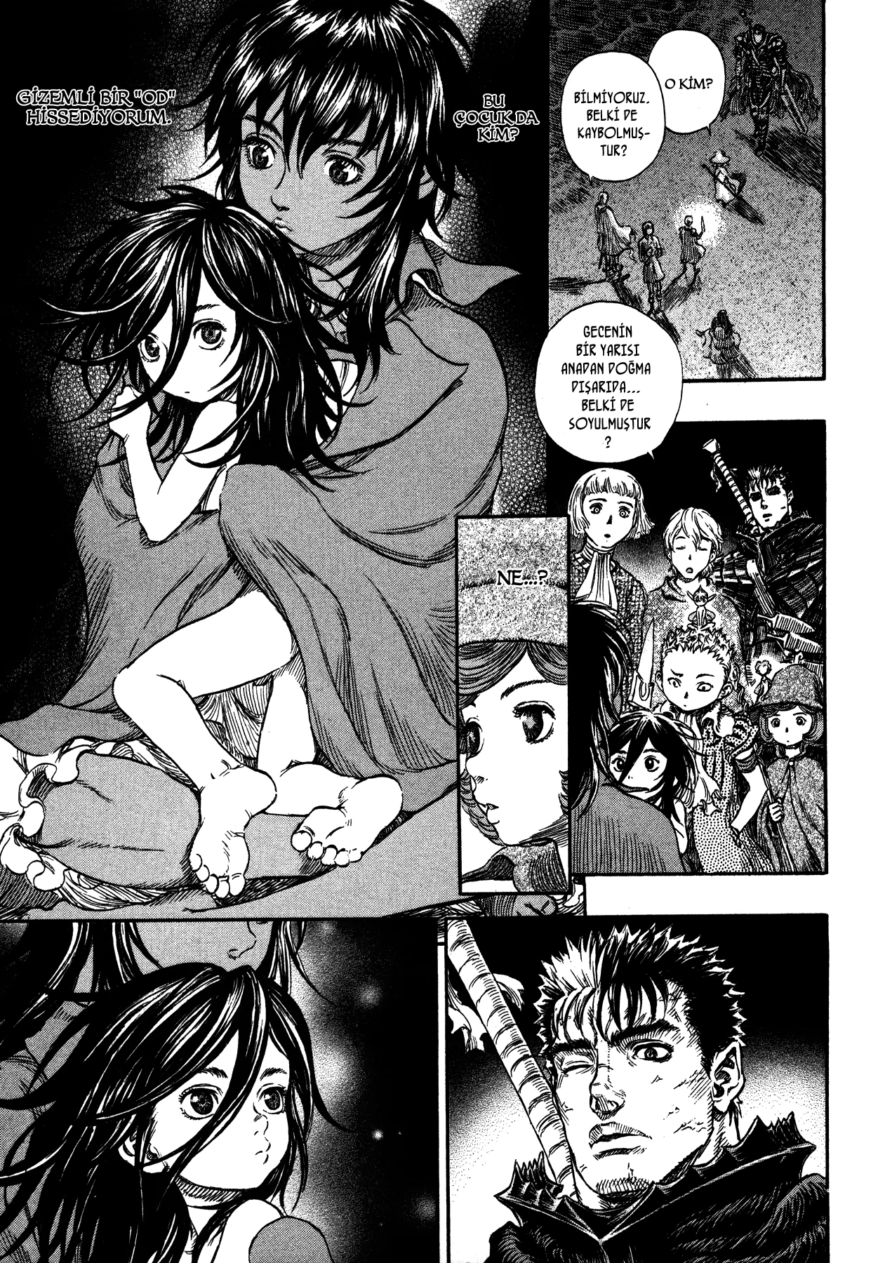 Read Berserk TR Manga Online