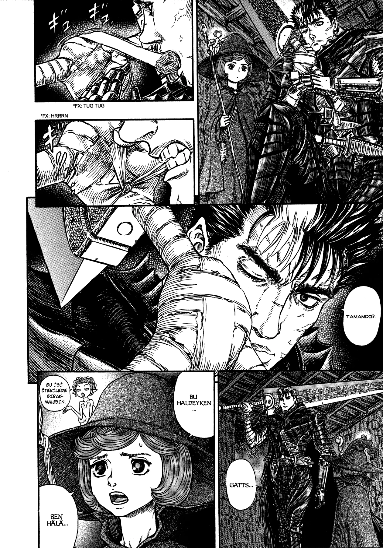 Read Berserk TR Manga Online