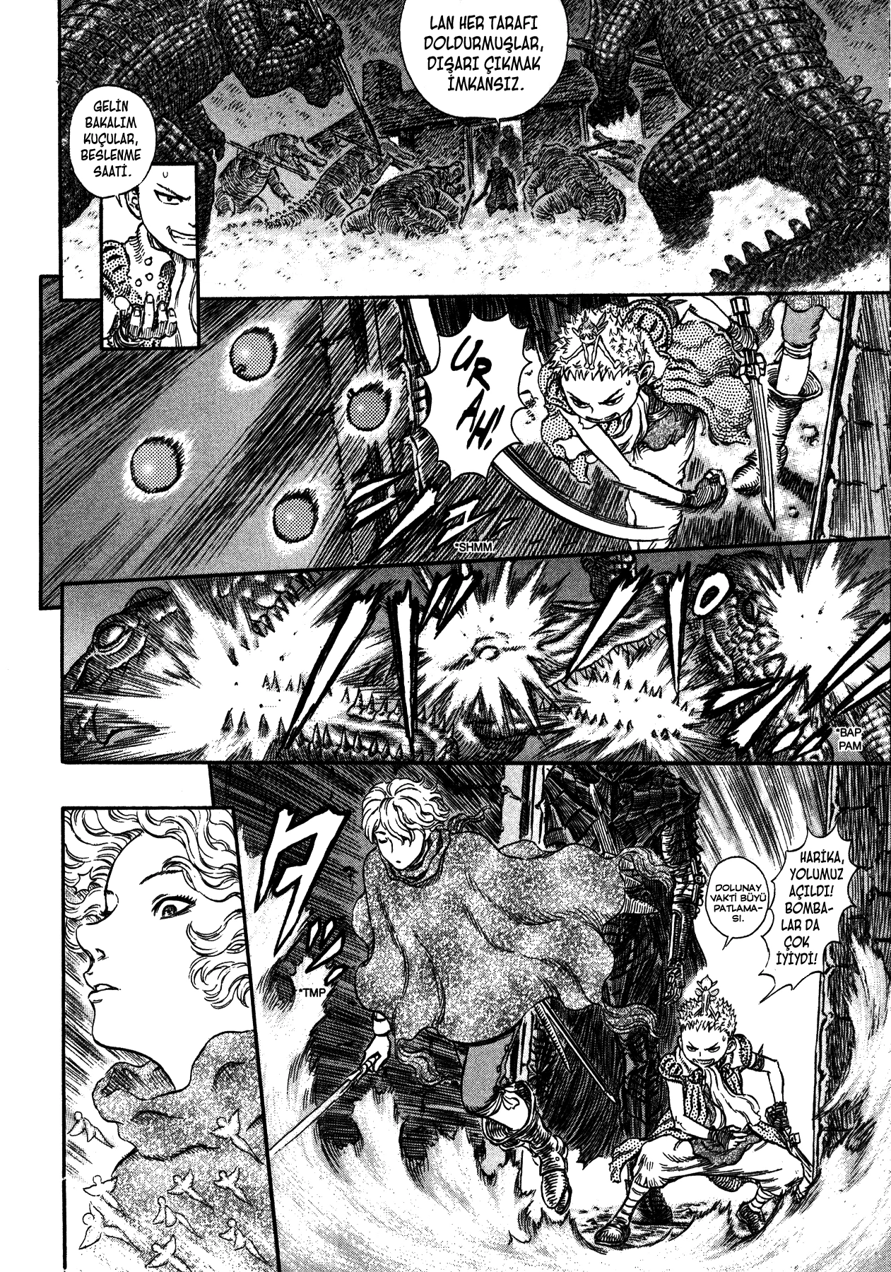 Read Berserk TR Manga Online