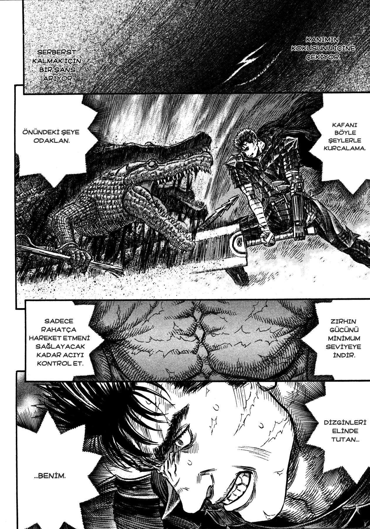 Read Berserk TR Manga Online