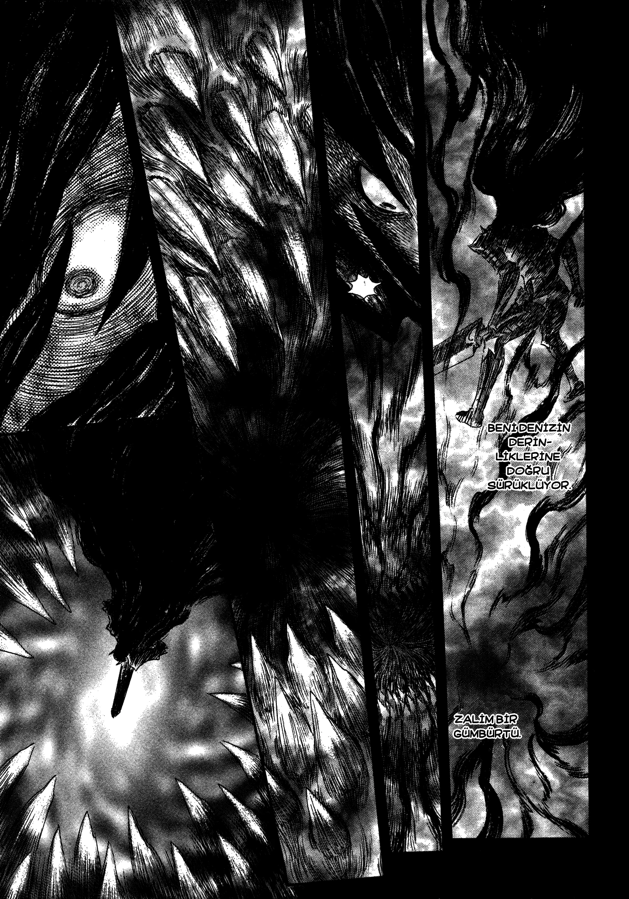 Read Berserk TR Manga Online