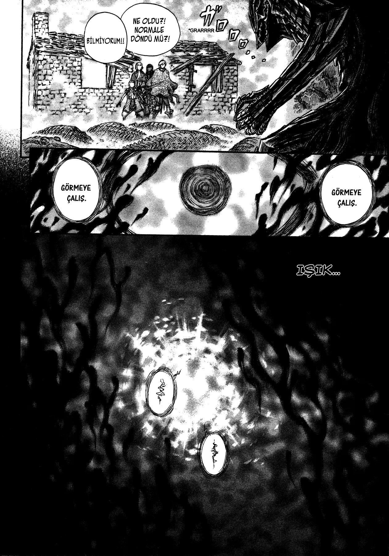 Read Berserk TR Manga Online