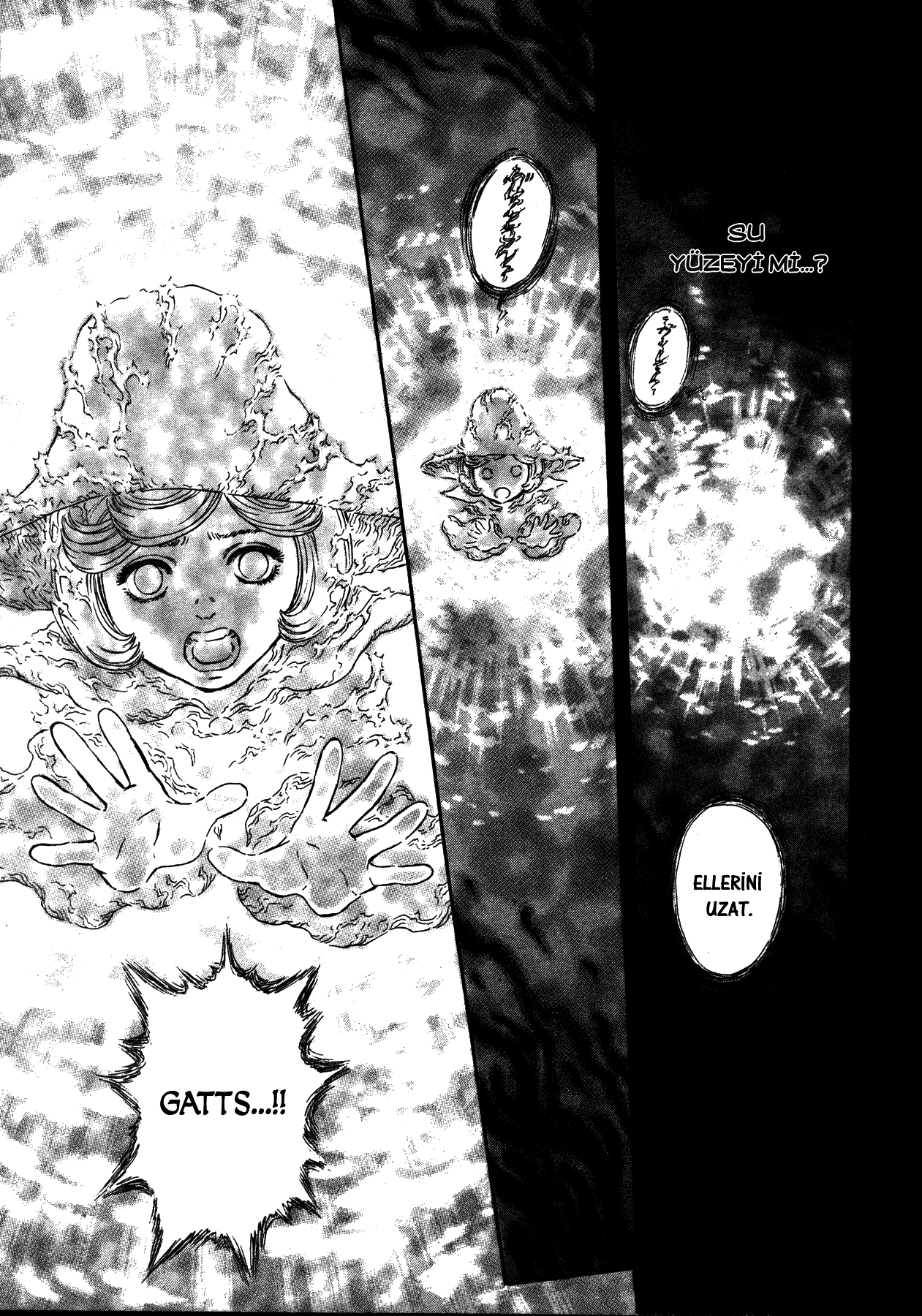 Read Berserk TR Manga Online