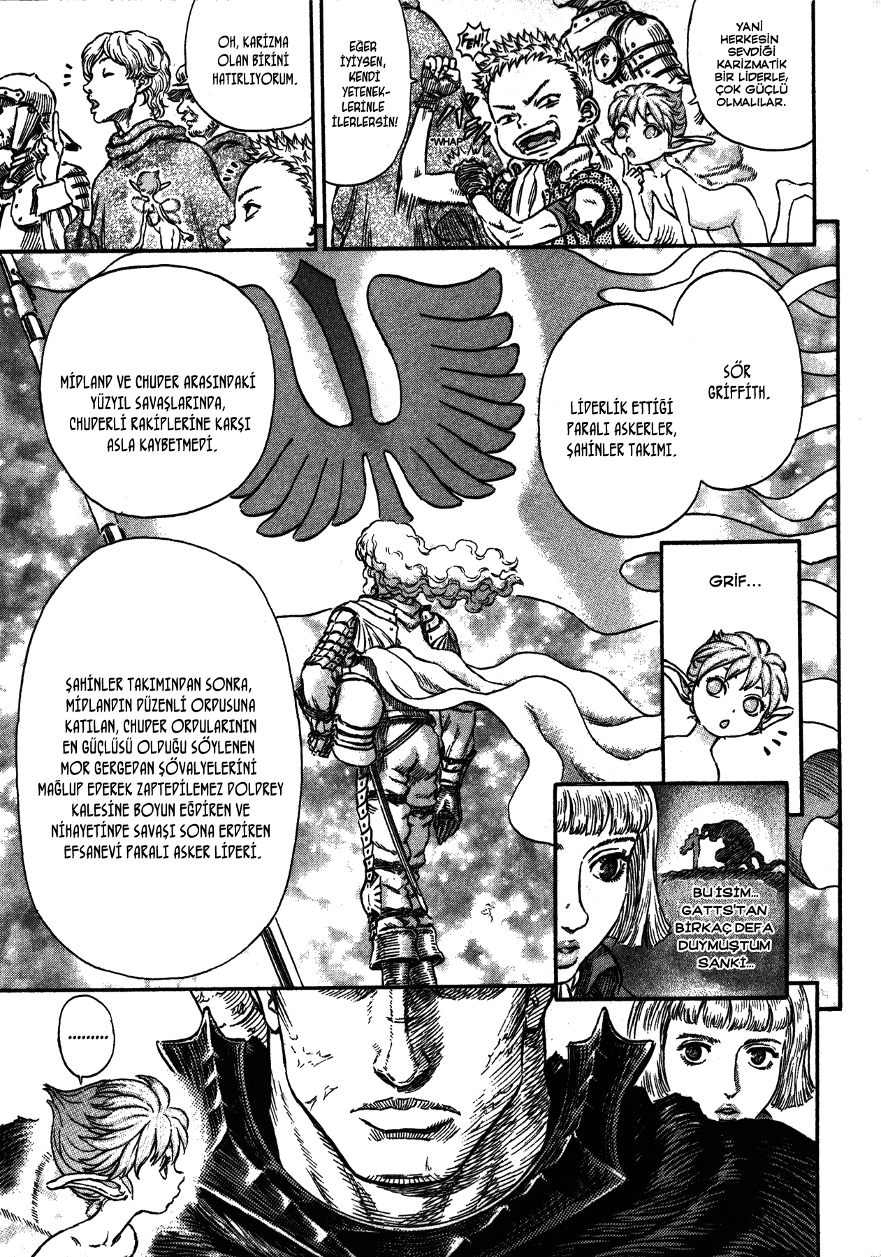 Read Berserk TR Manga Online