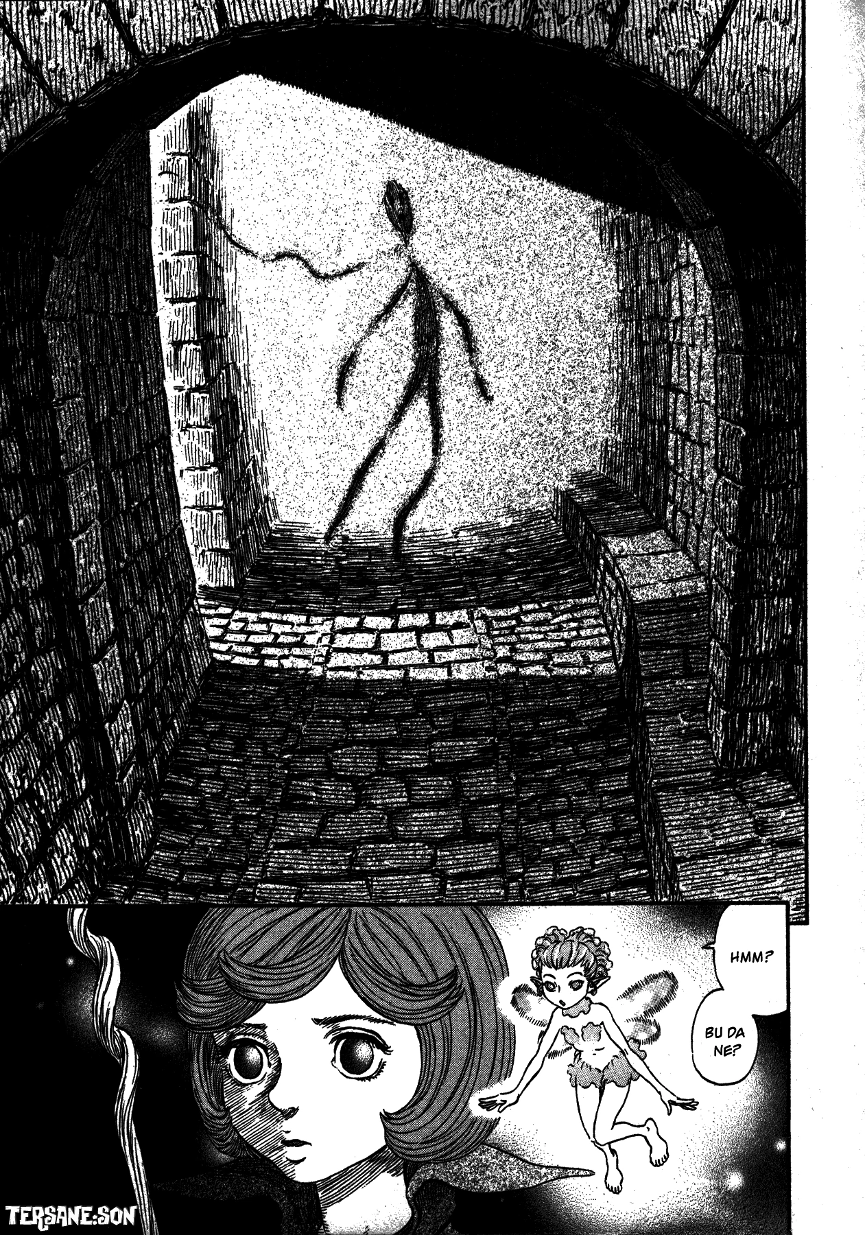Read Berserk TR Manga Online