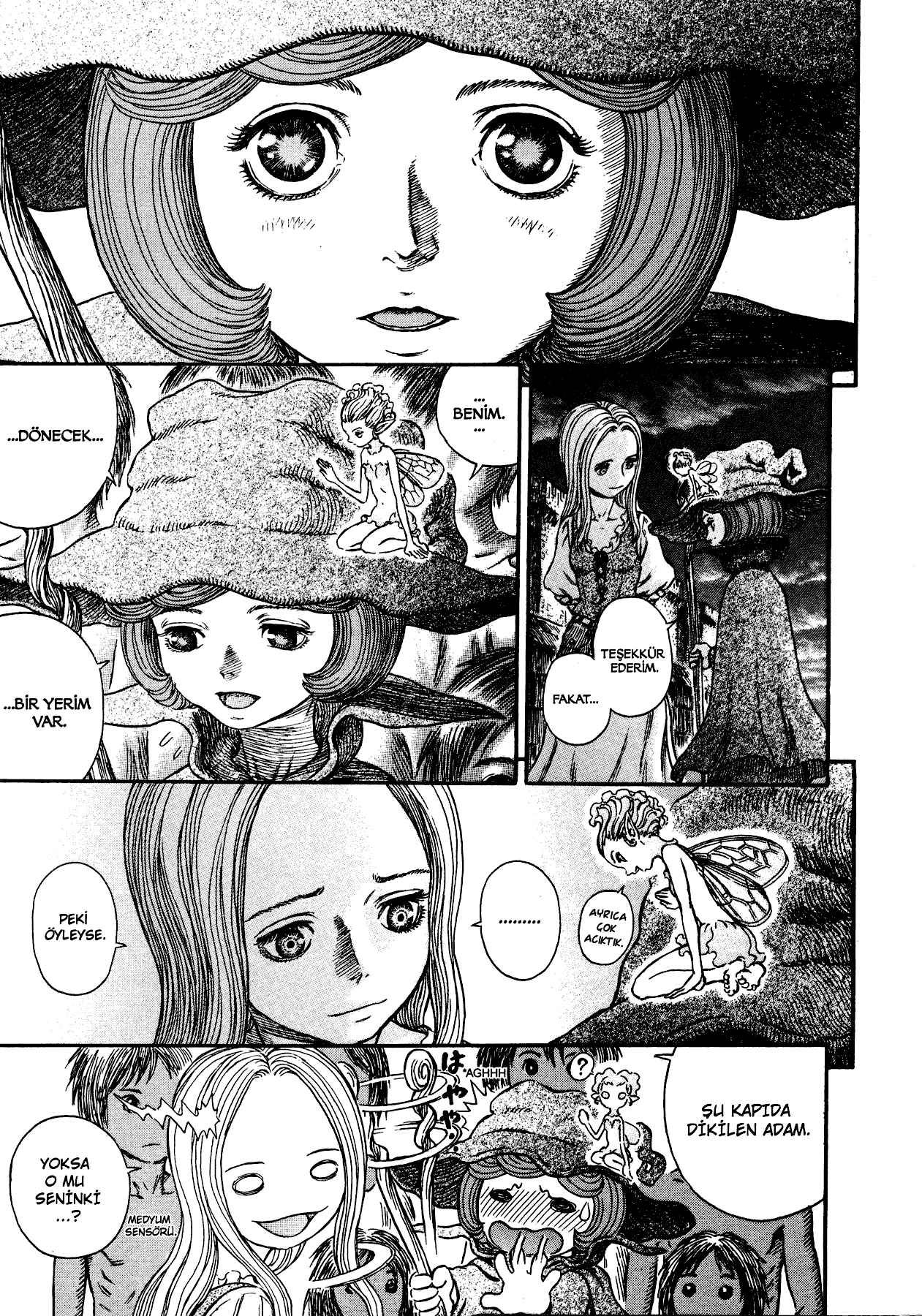 Read Berserk TR Manga Online