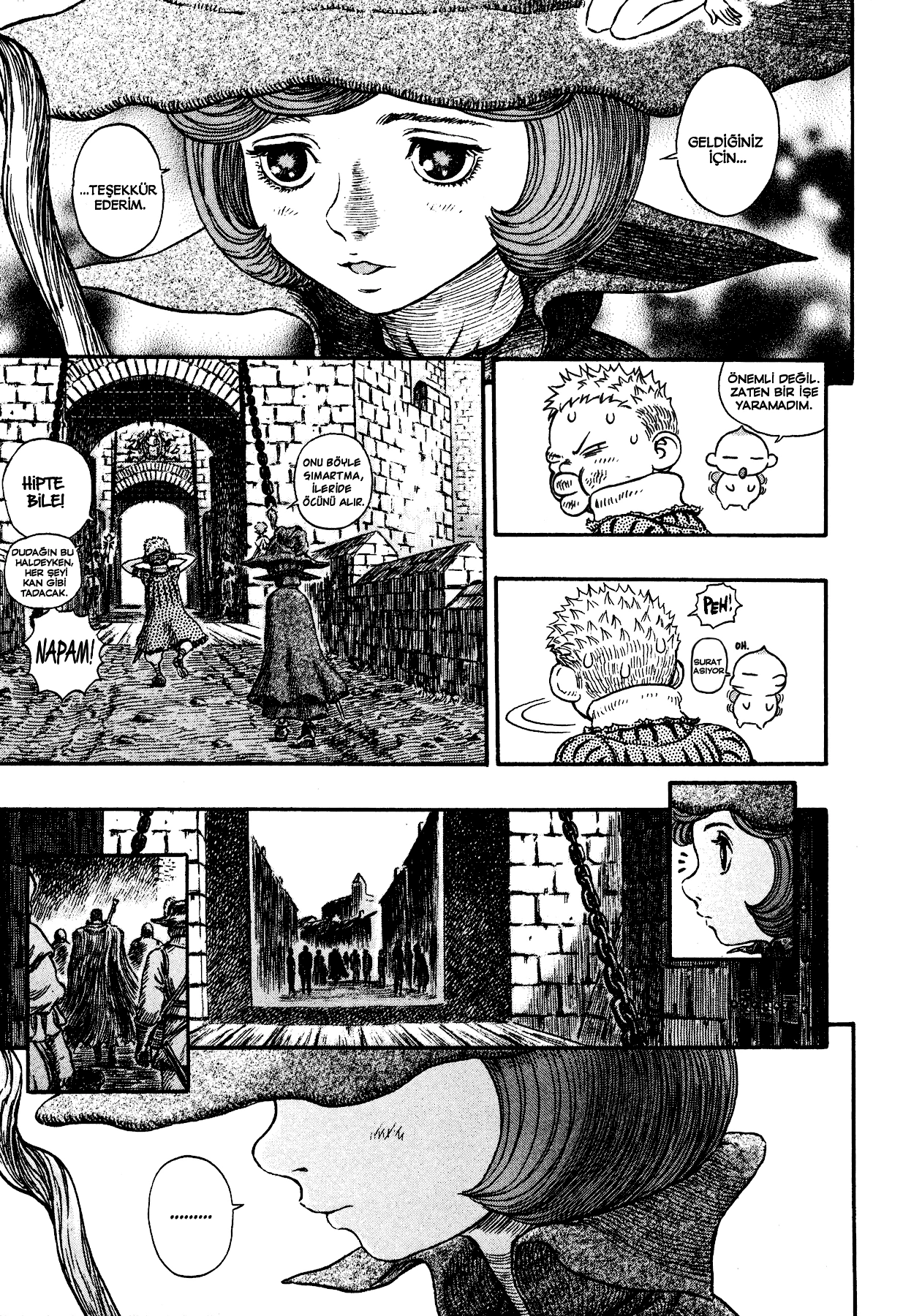 Read Berserk TR Manga Online