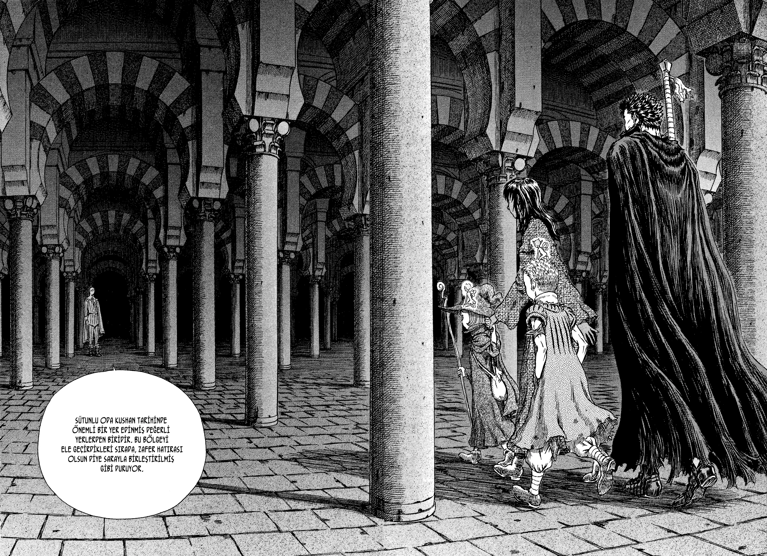 Read Berserk TR Manga Online