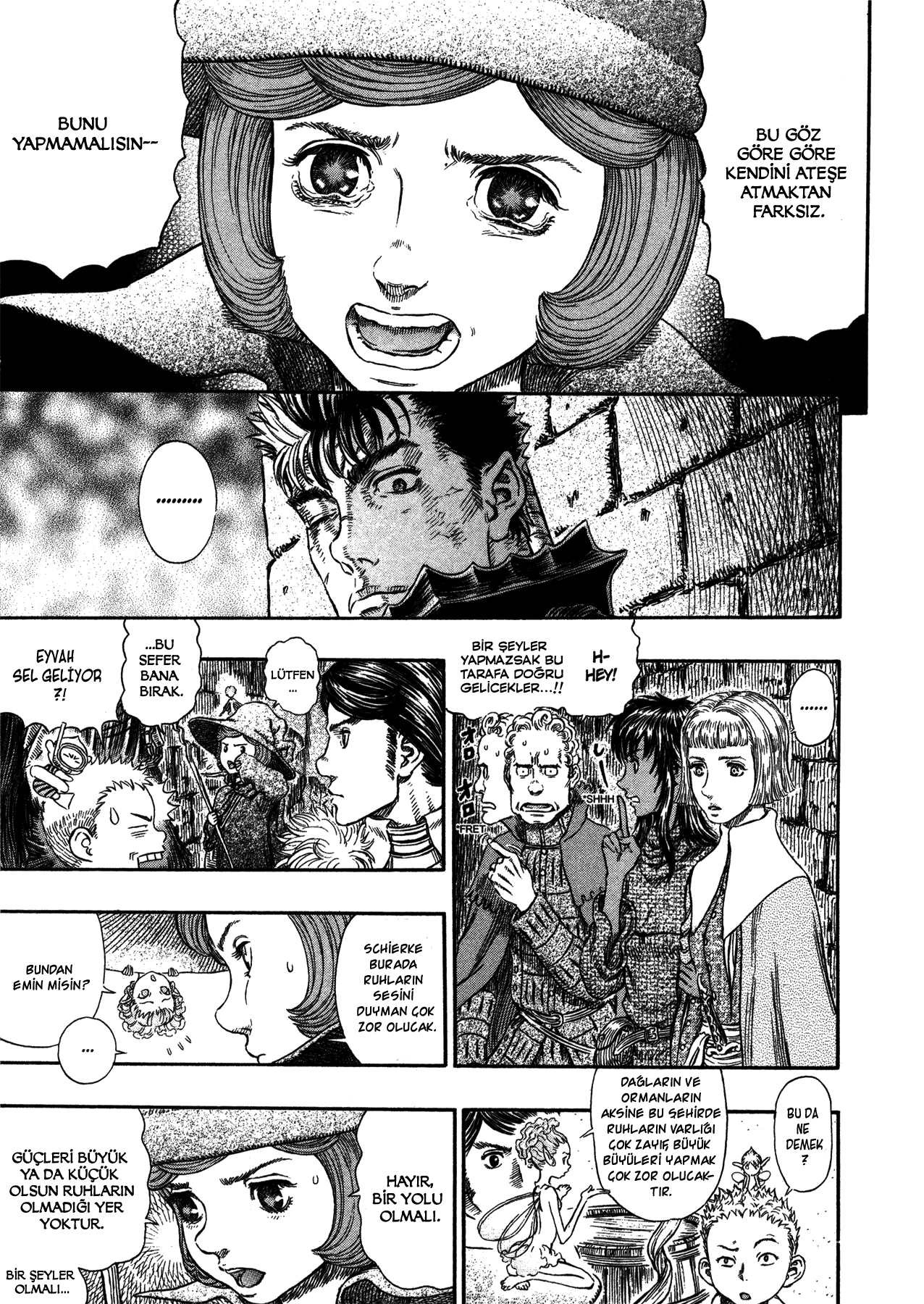 Read Berserk TR Manga Online