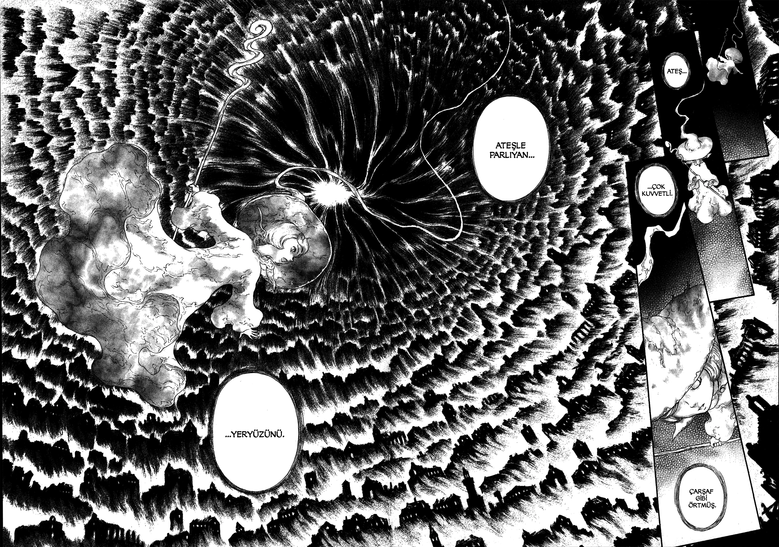 Read Berserk TR Manga Online