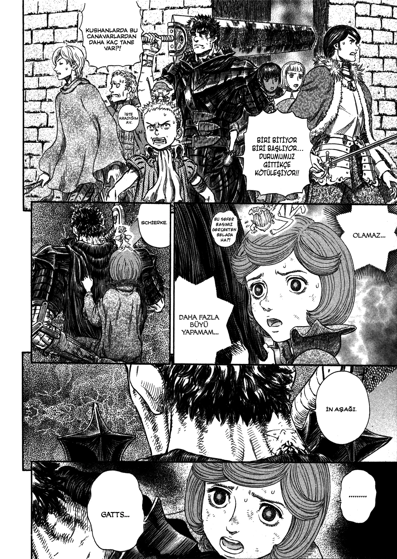 Read Berserk TR Manga Online