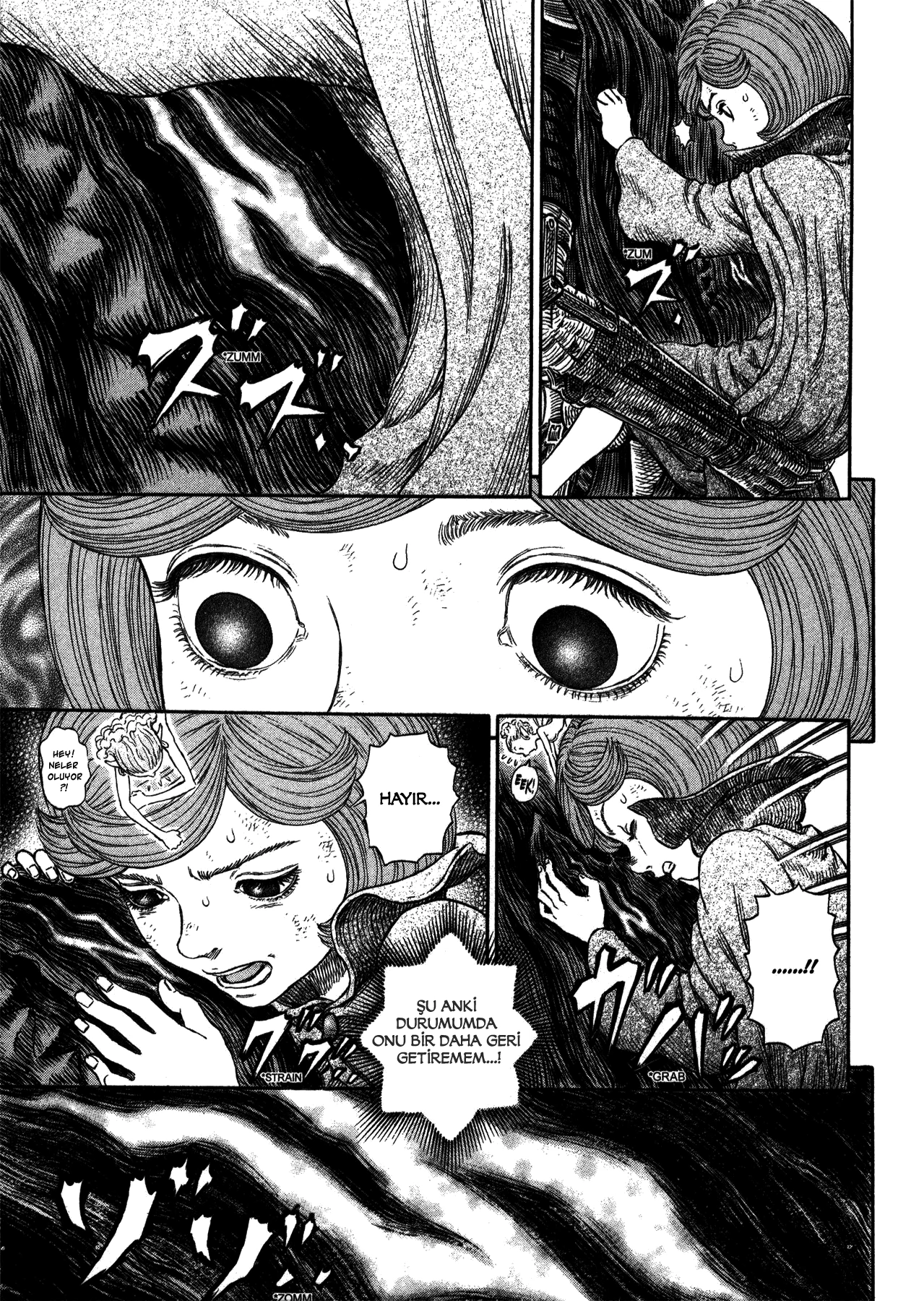 Read Berserk TR Manga Online