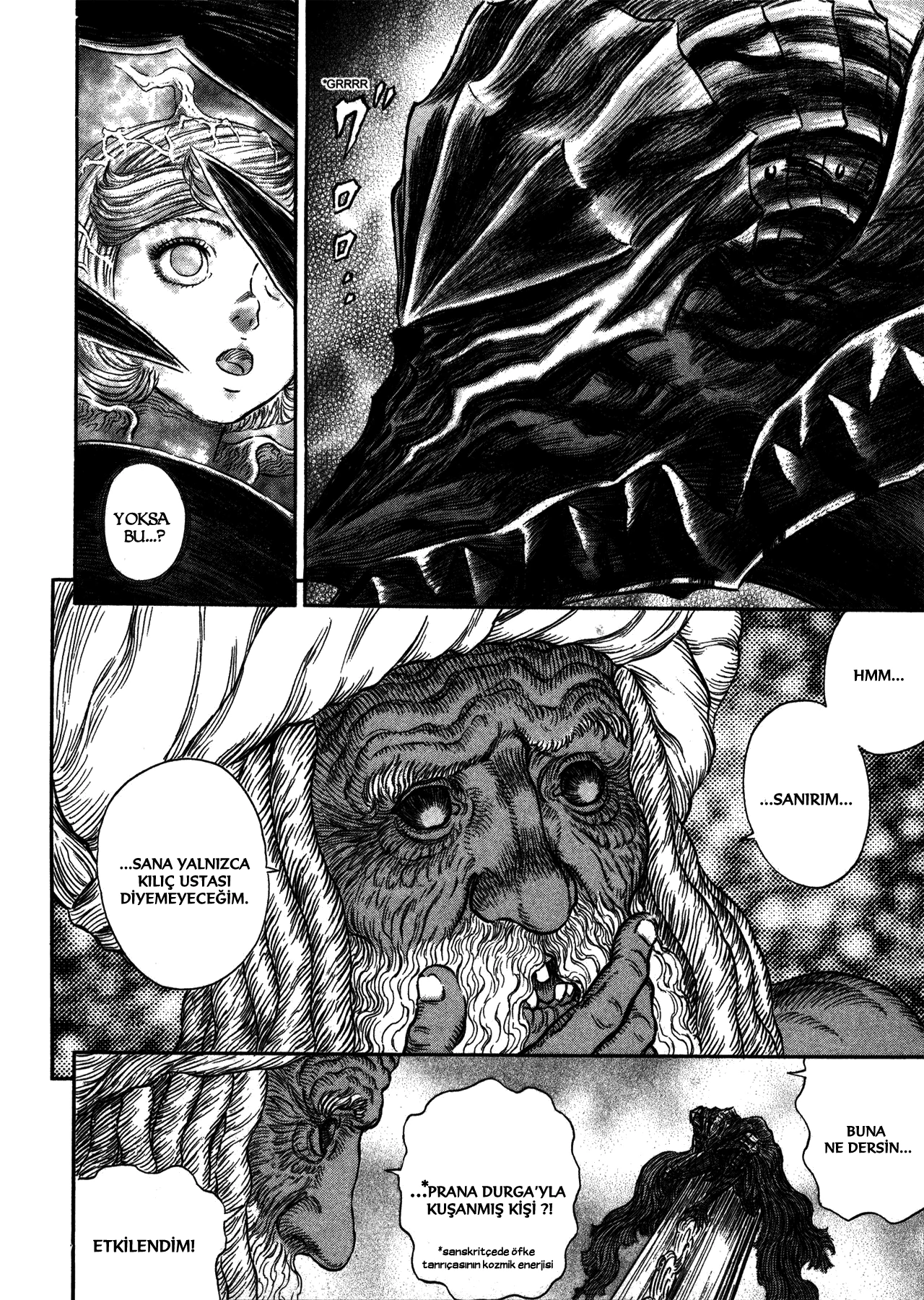 Read Berserk TR Manga Online