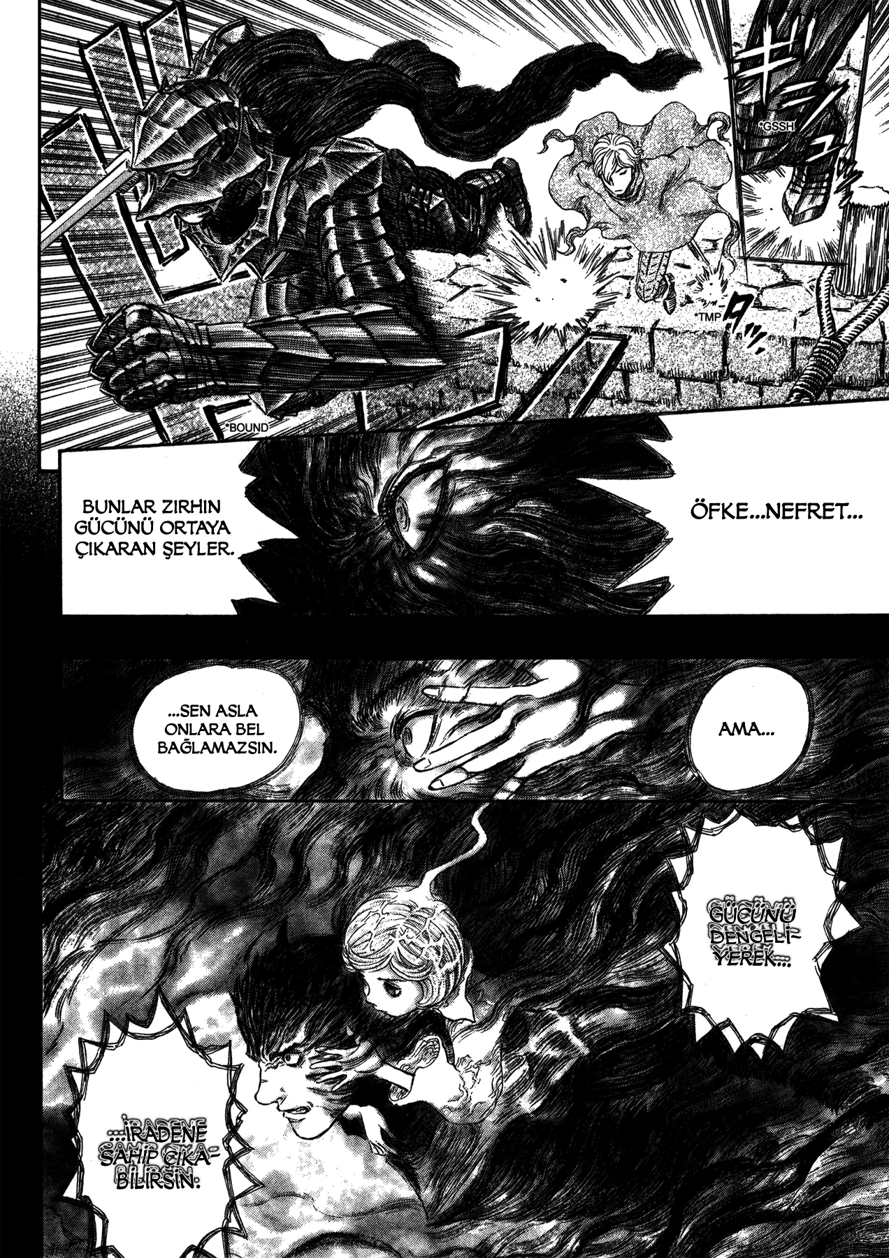Read Berserk TR Manga Online