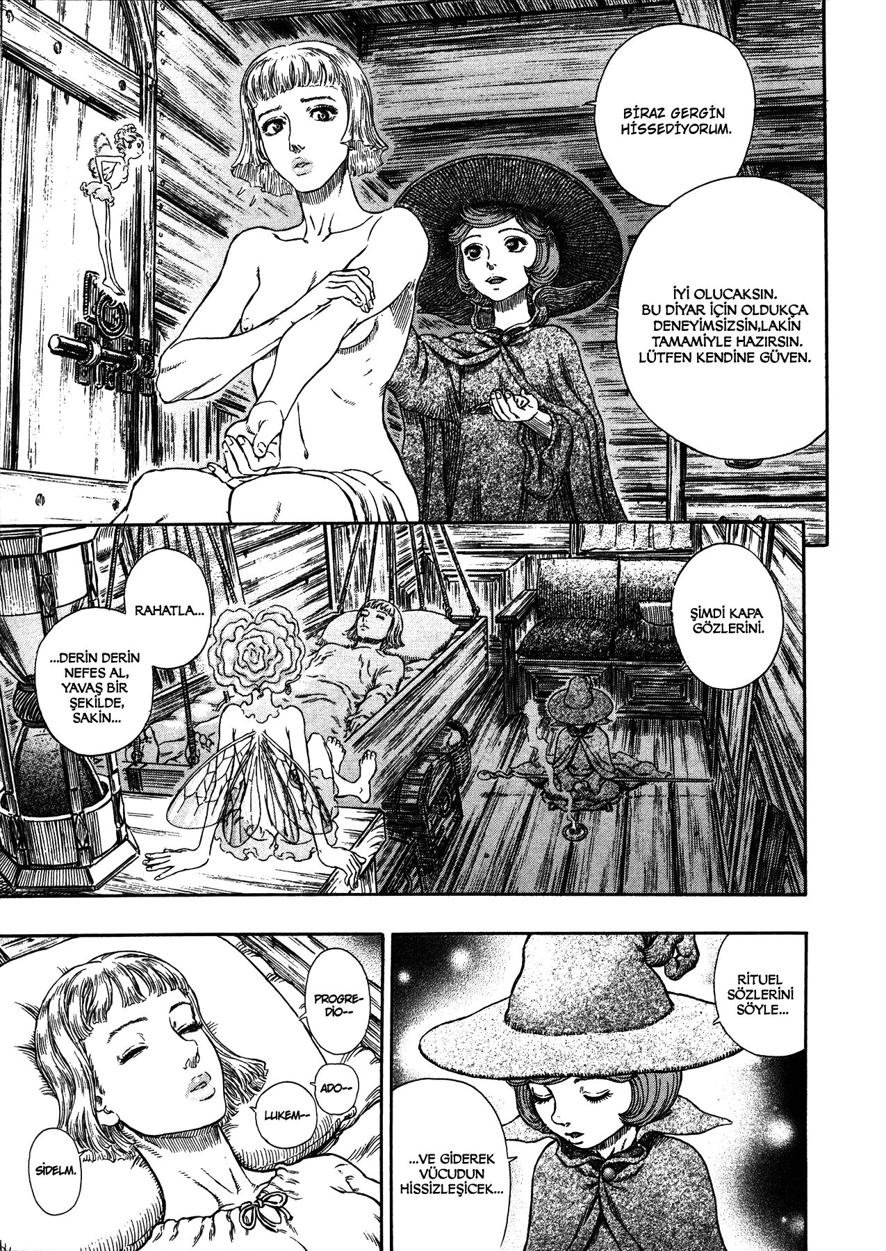 Read Berserk TR Manga Online
