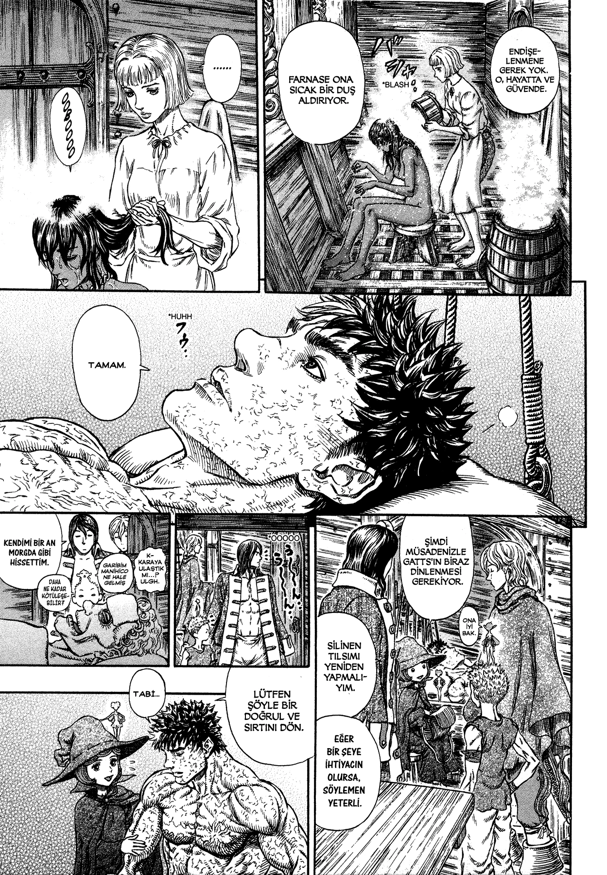 Read Berserk TR Manga Online
