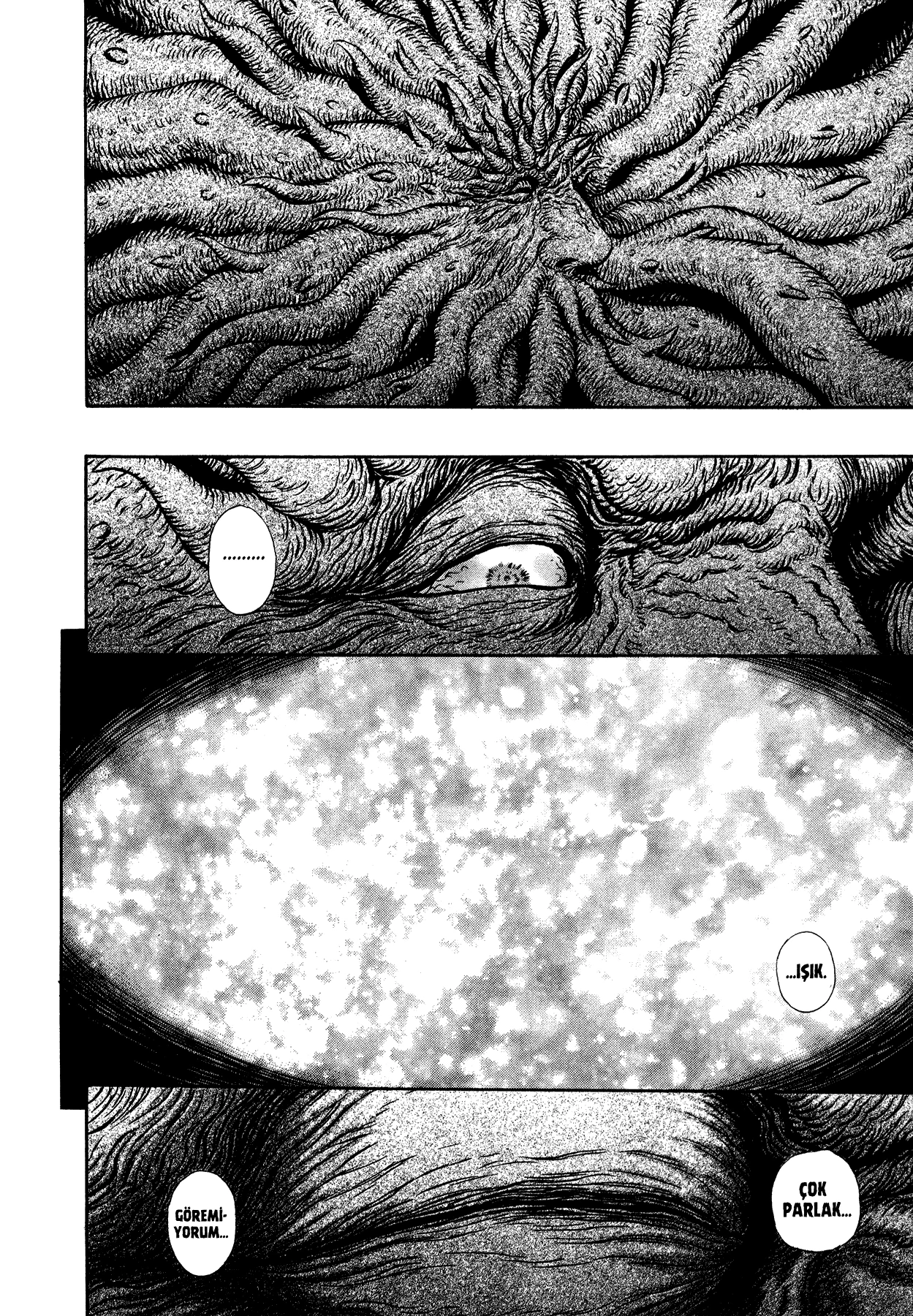 Read Berserk TR Manga Online