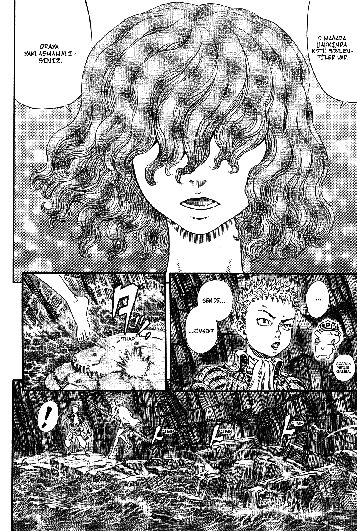 Read Berserk TR Manga Online