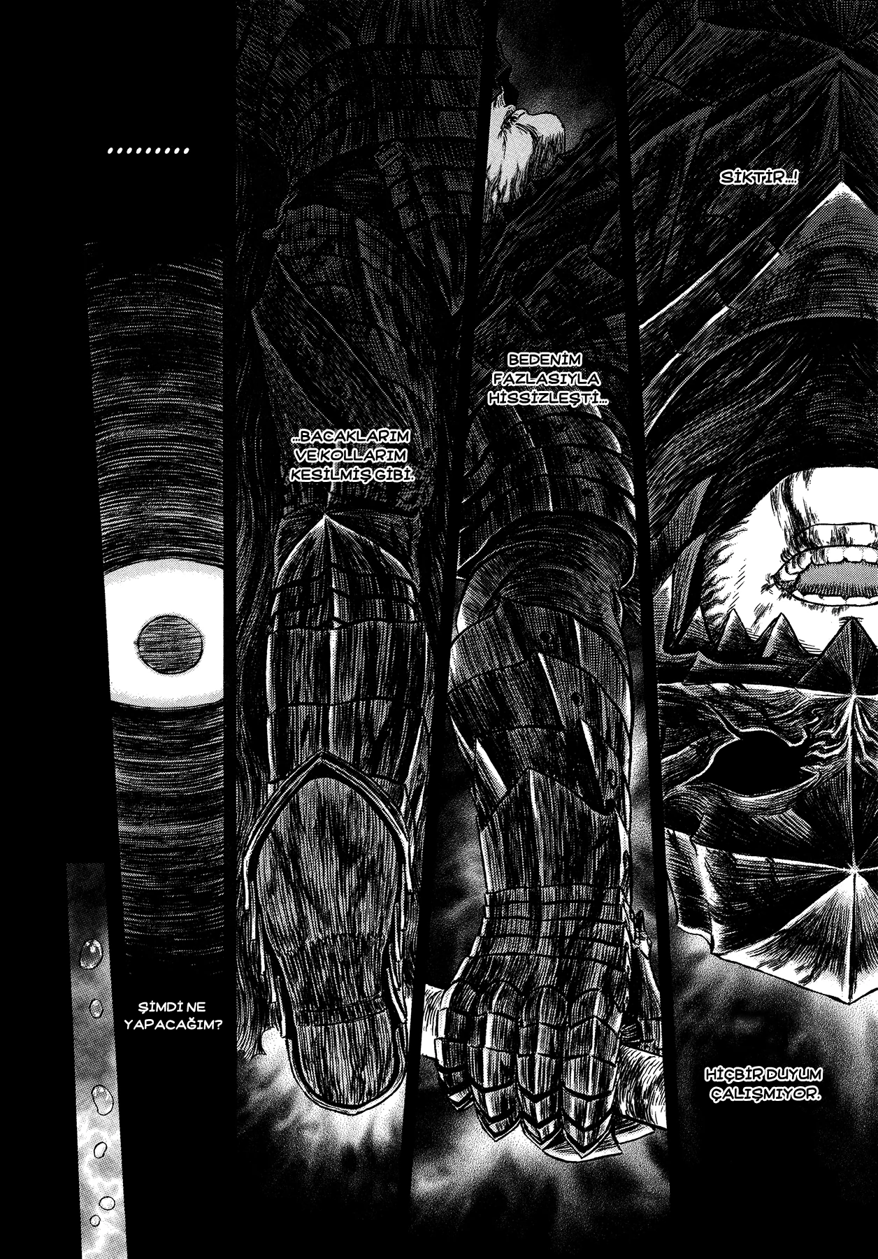 Read Berserk TR Manga Online