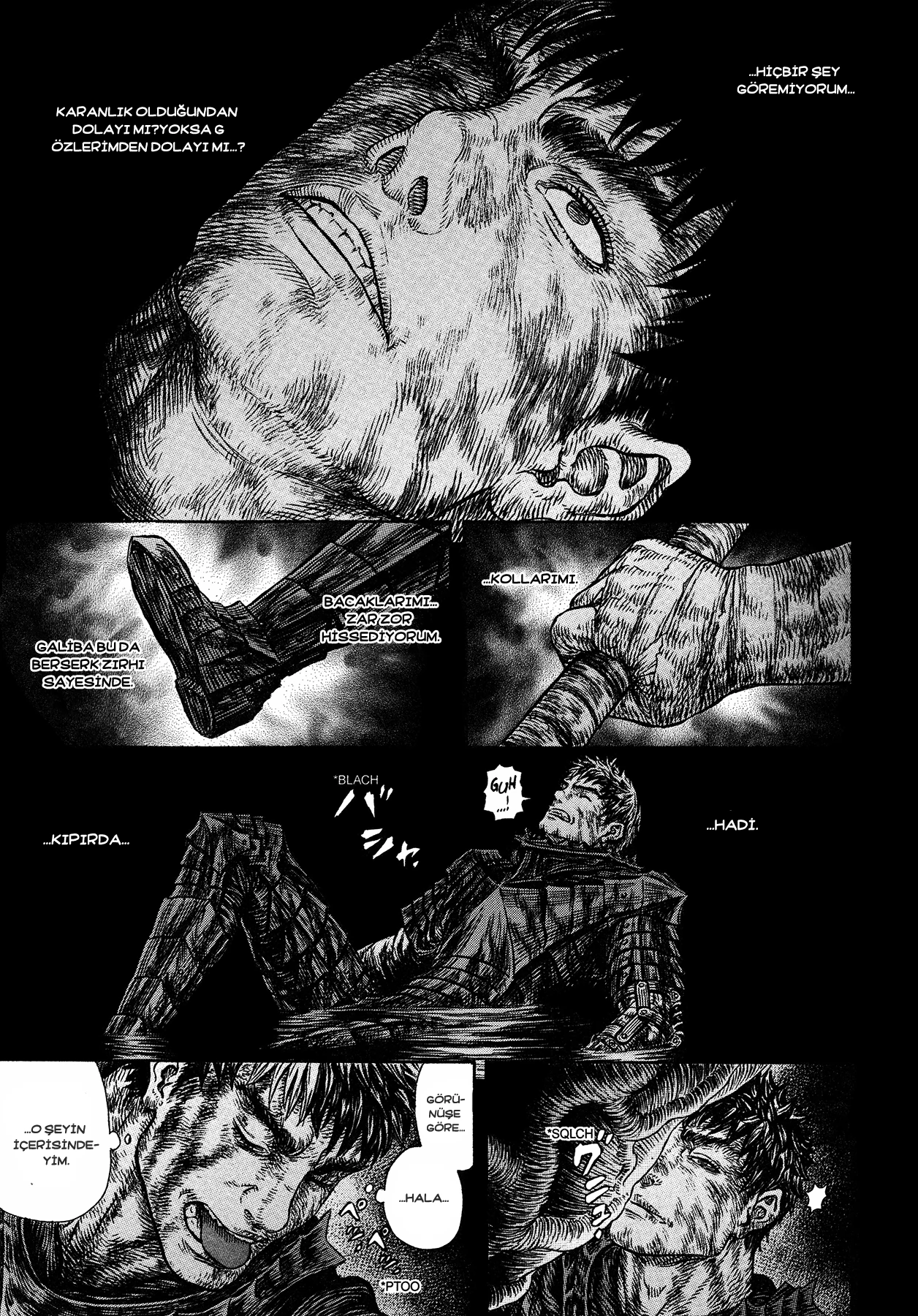 Read Berserk TR Manga Online