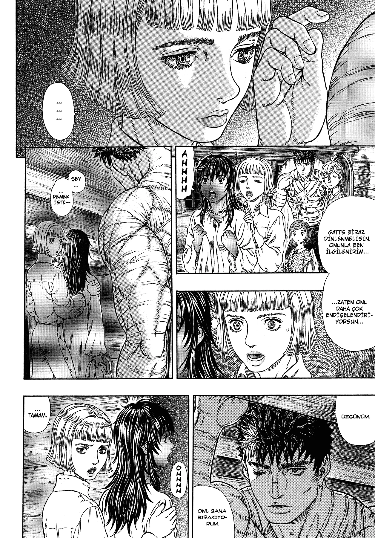 Read Berserk TR Manga Online