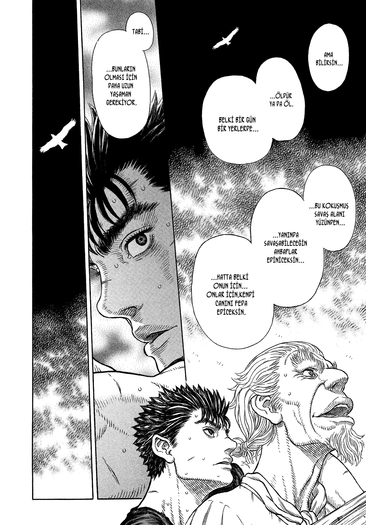 Read Berserk TR Manga Online