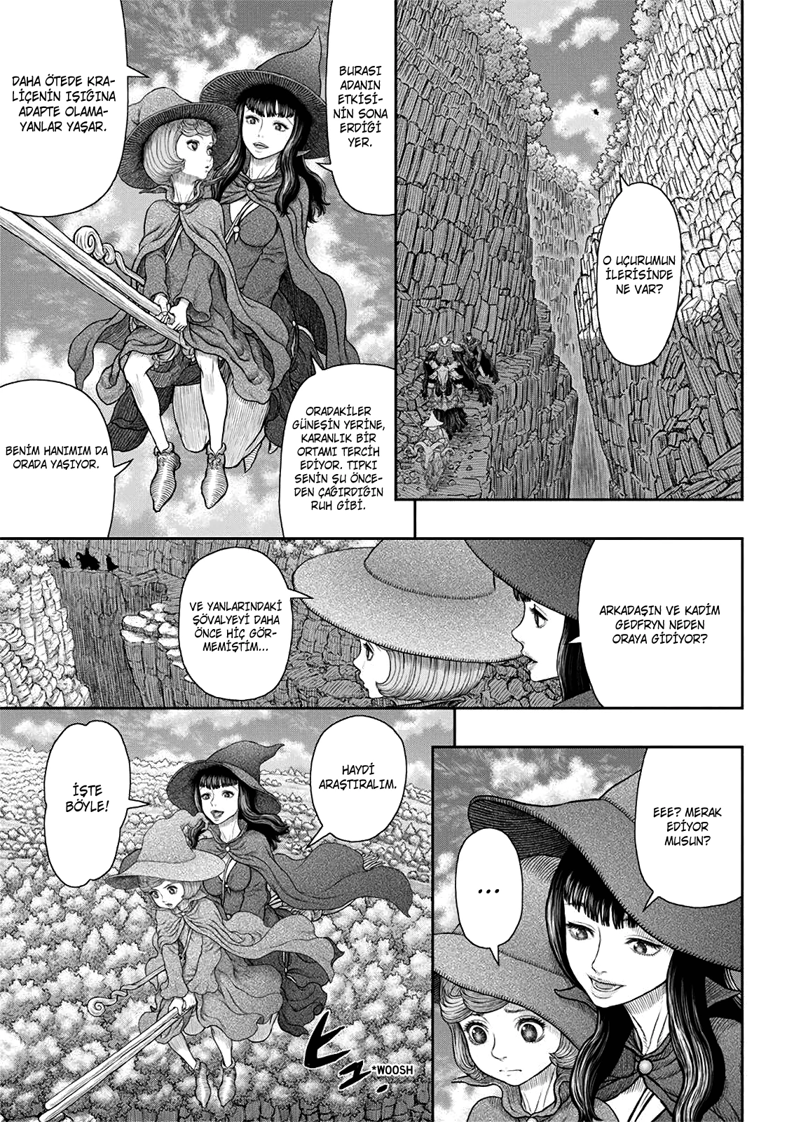 Read Berserk TR Manga Online