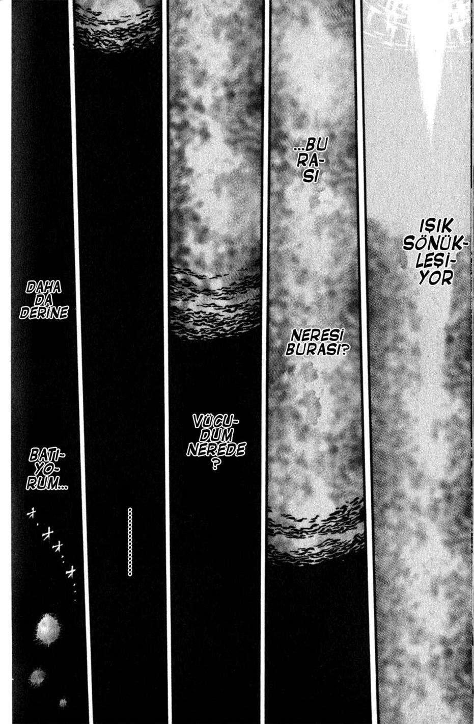 Read Berserk TR Manga Online
