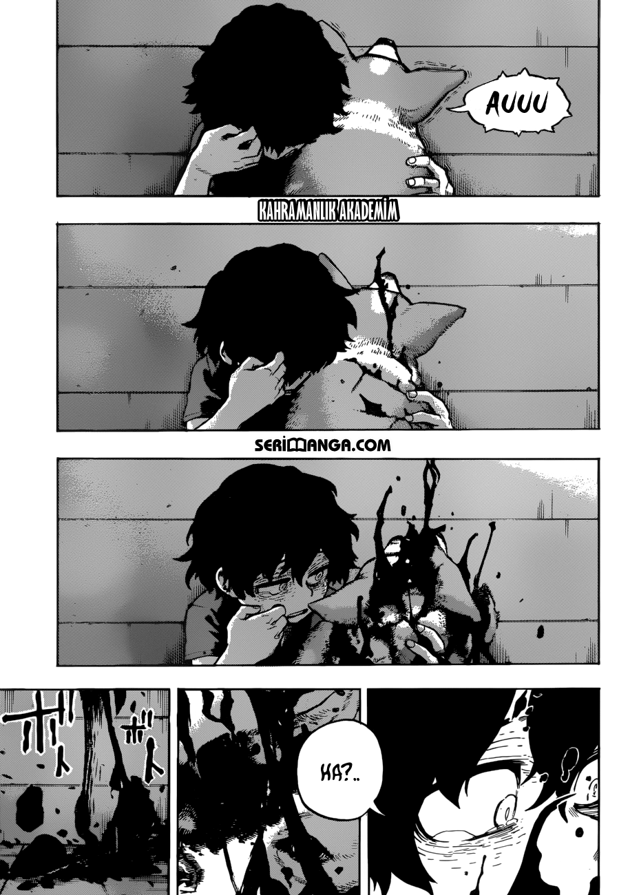 Read Boku no Hero Academia TR Manga Online
