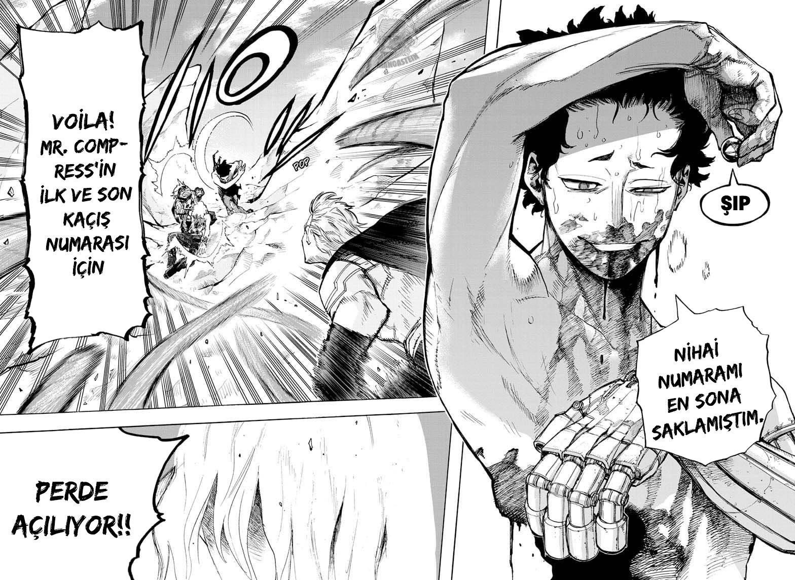 Read Boku no Hero Academia TR Manga Online