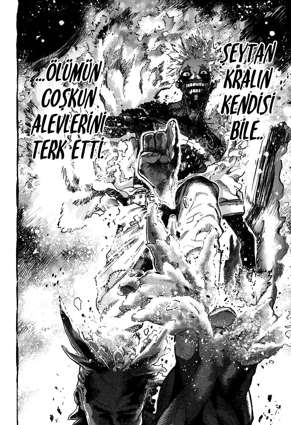 Read Boku no Hero Academia TR Manga Online