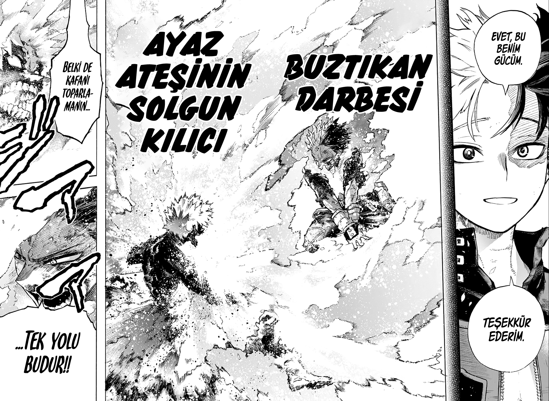 Read Boku no Hero Academia TR Manga Online