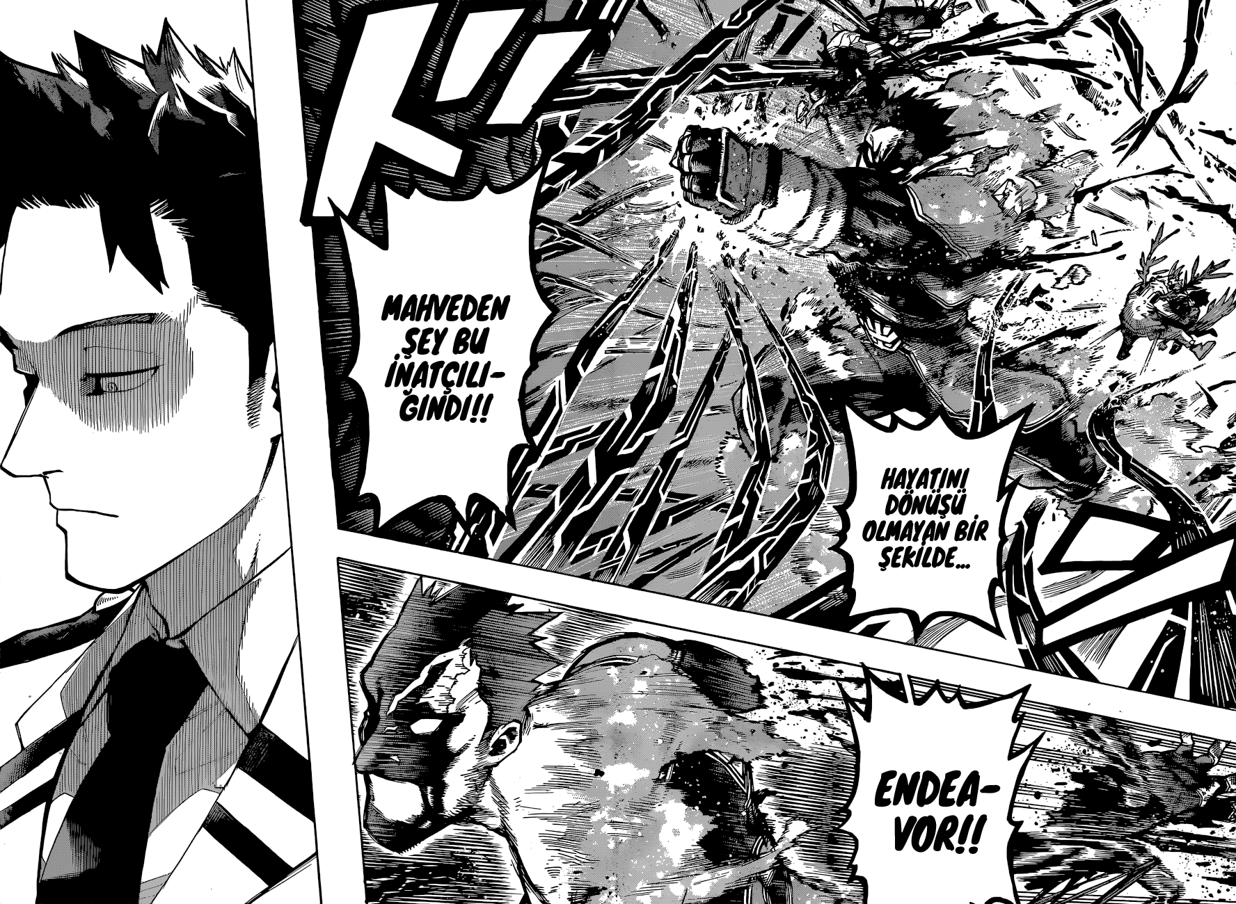 Read Boku no Hero Academia TR Manga Online