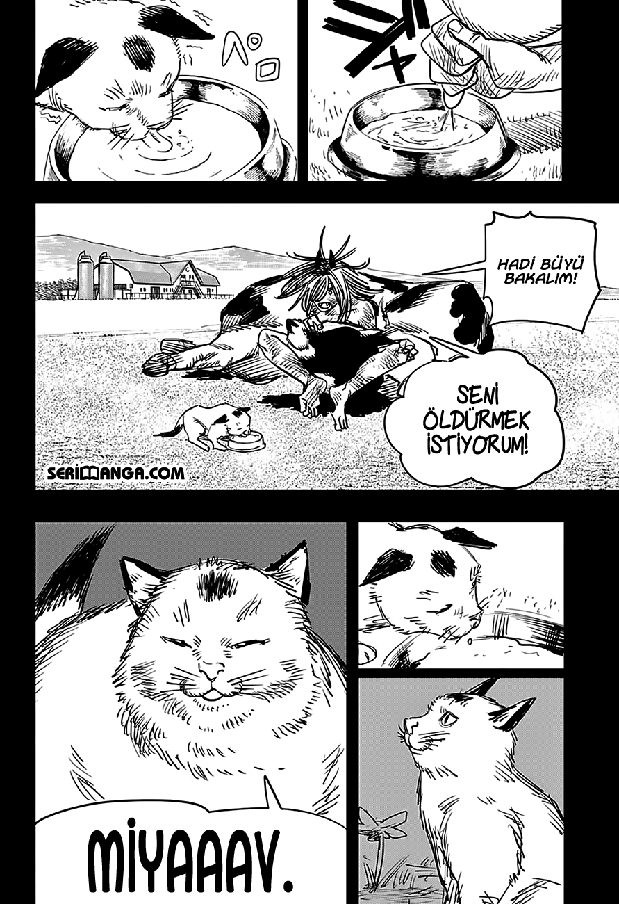 Read Chainsaw Man TR Manga Online