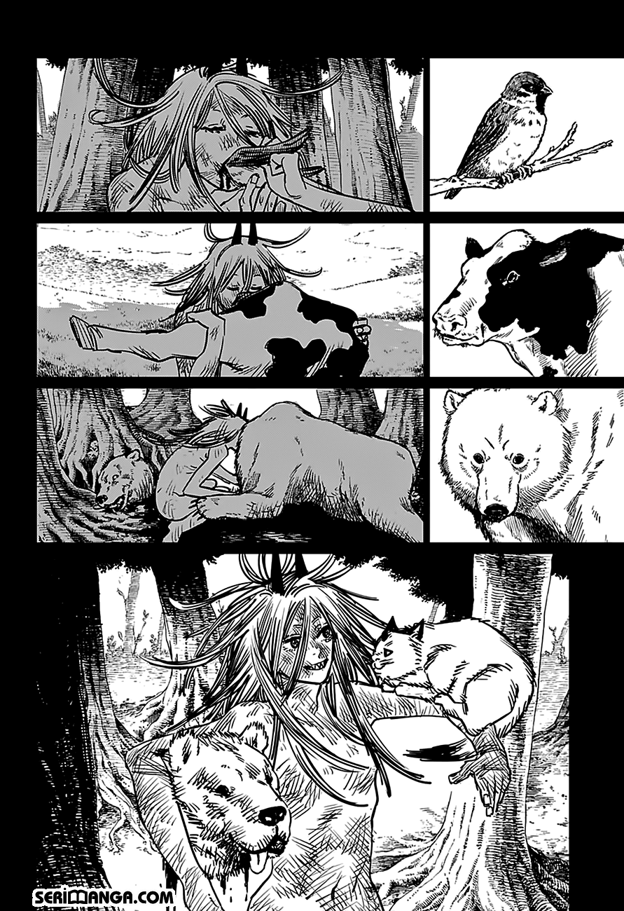 Read Chainsaw Man TR Manga Online