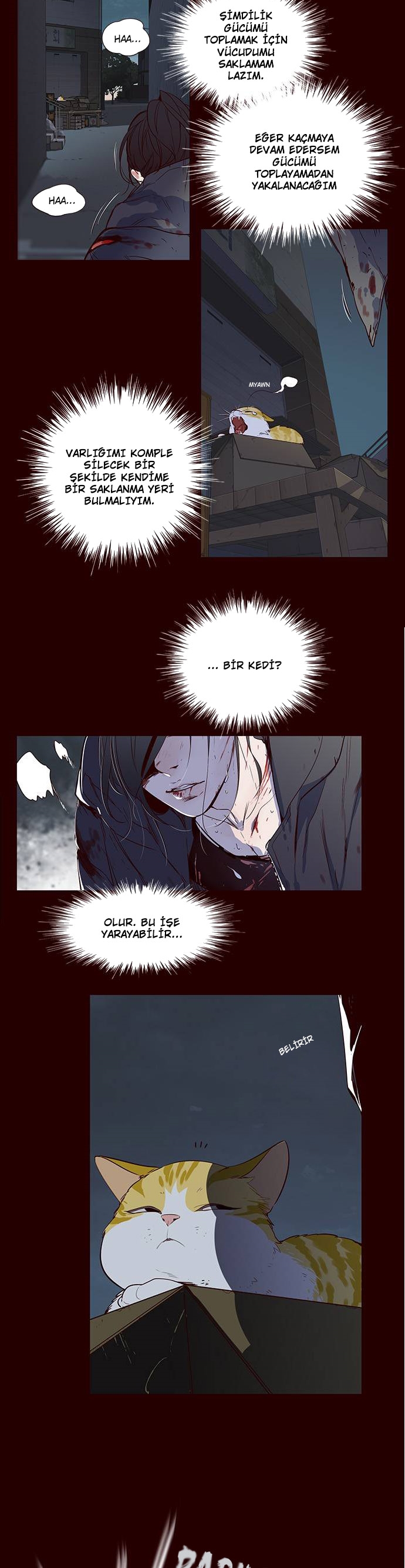 Read Eleceed TR Manga Online