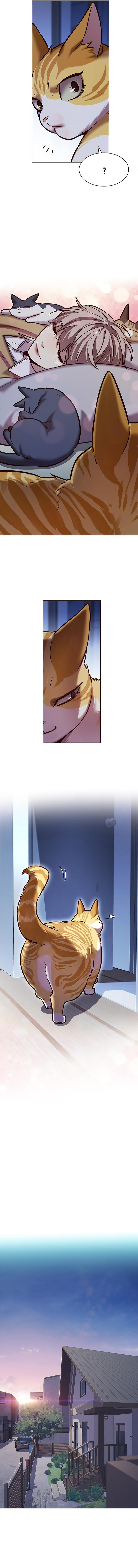 Read Eleceed TR Manga Online