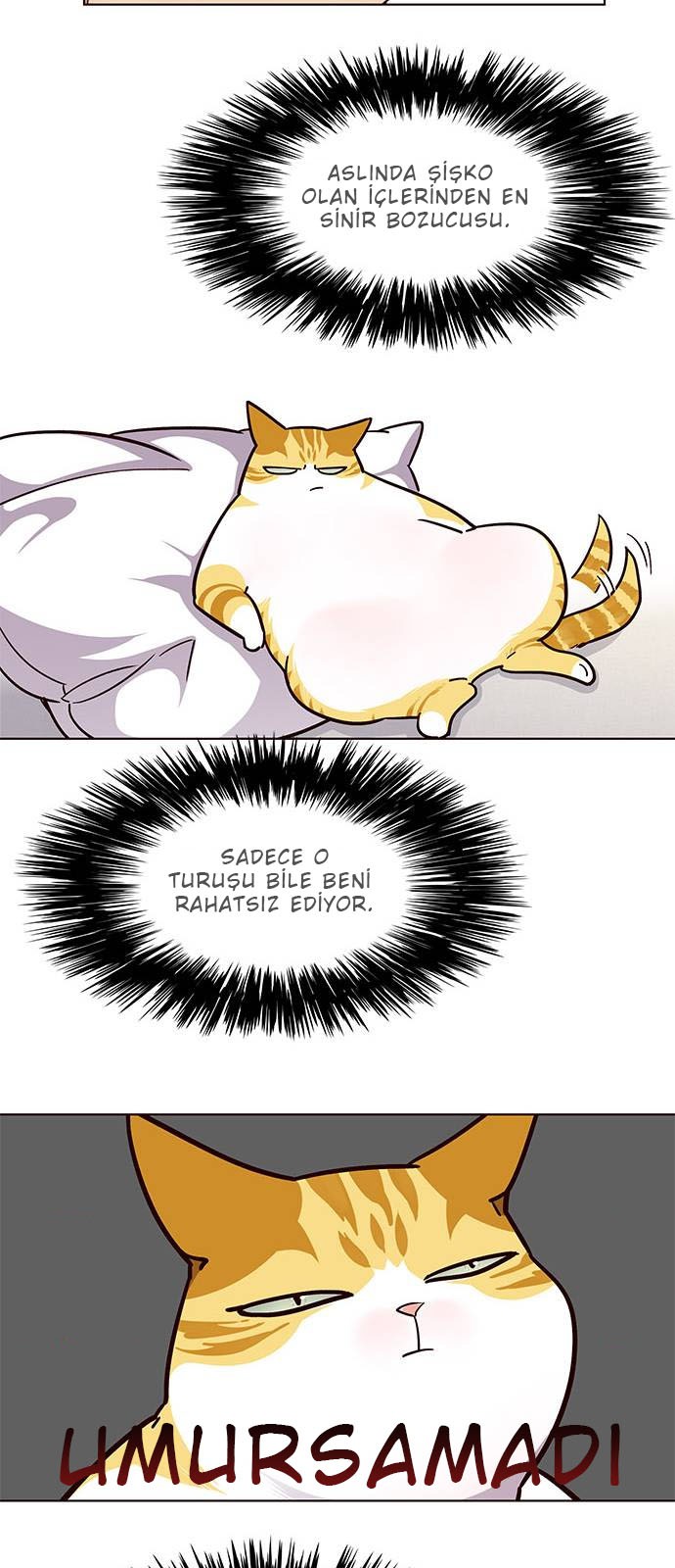 Read Eleceed TR Manga Online