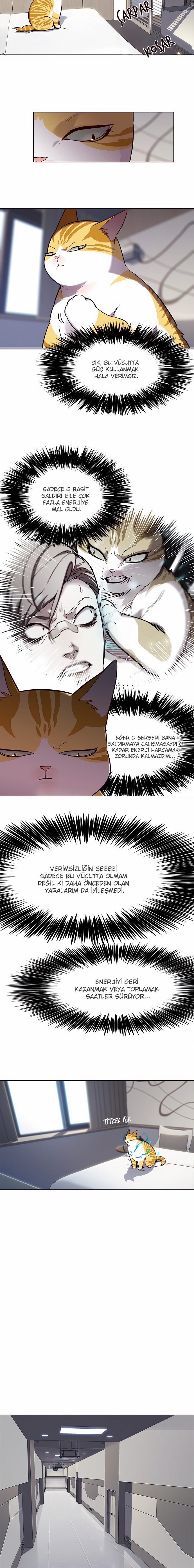 Read Eleceed TR Manga Online