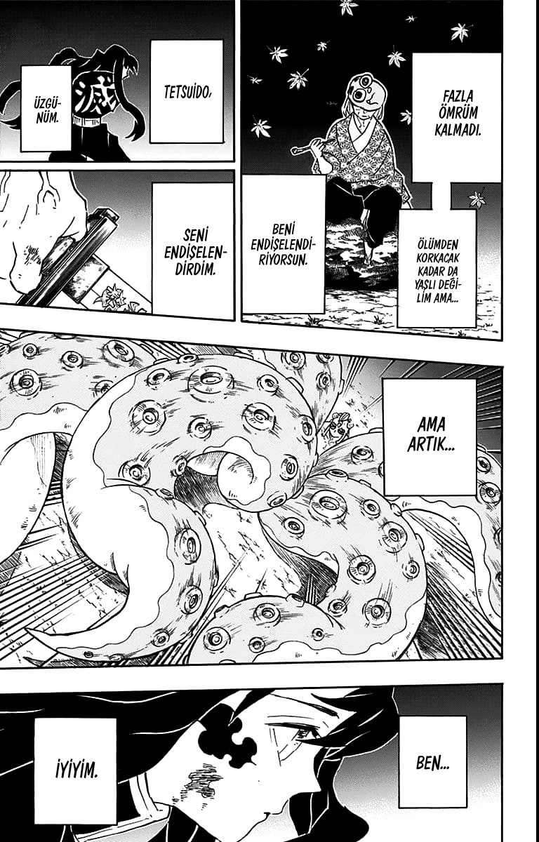 Read Kimetsu no Yaiba TR Manga Online
