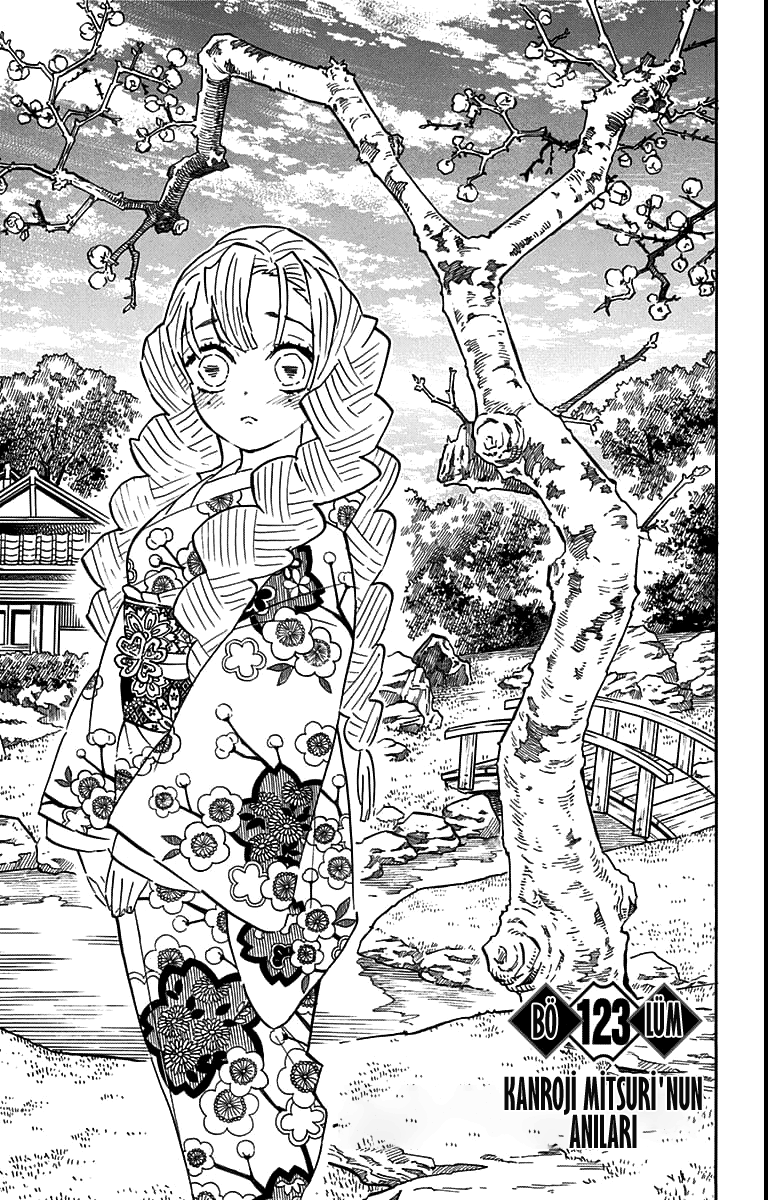 Read Kimetsu no Yaiba TR Manga Online